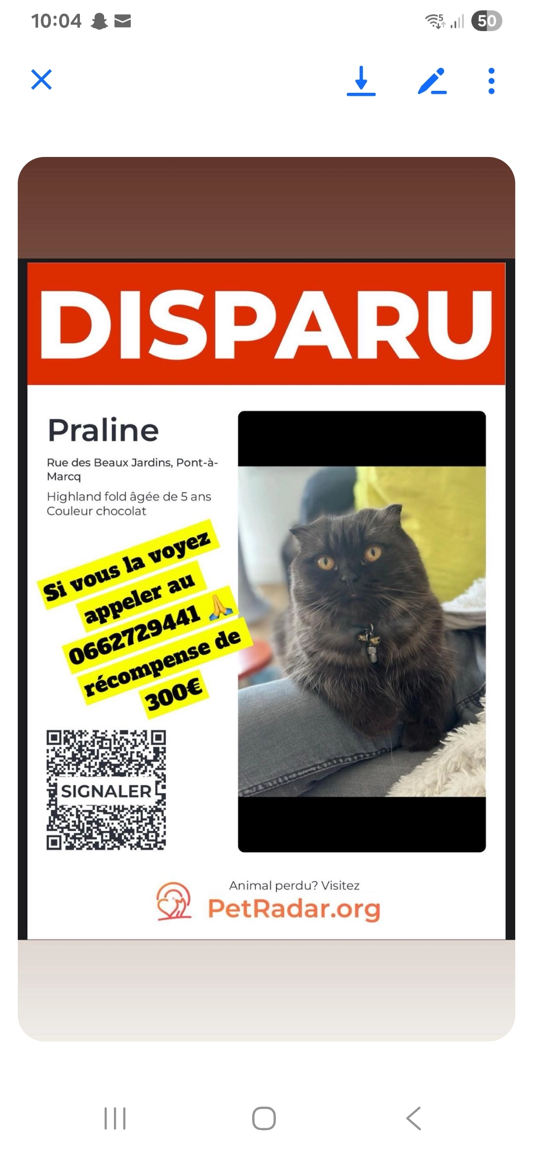 Praline  - Rue Des Beaux Jardins, Pont-à-Marcq