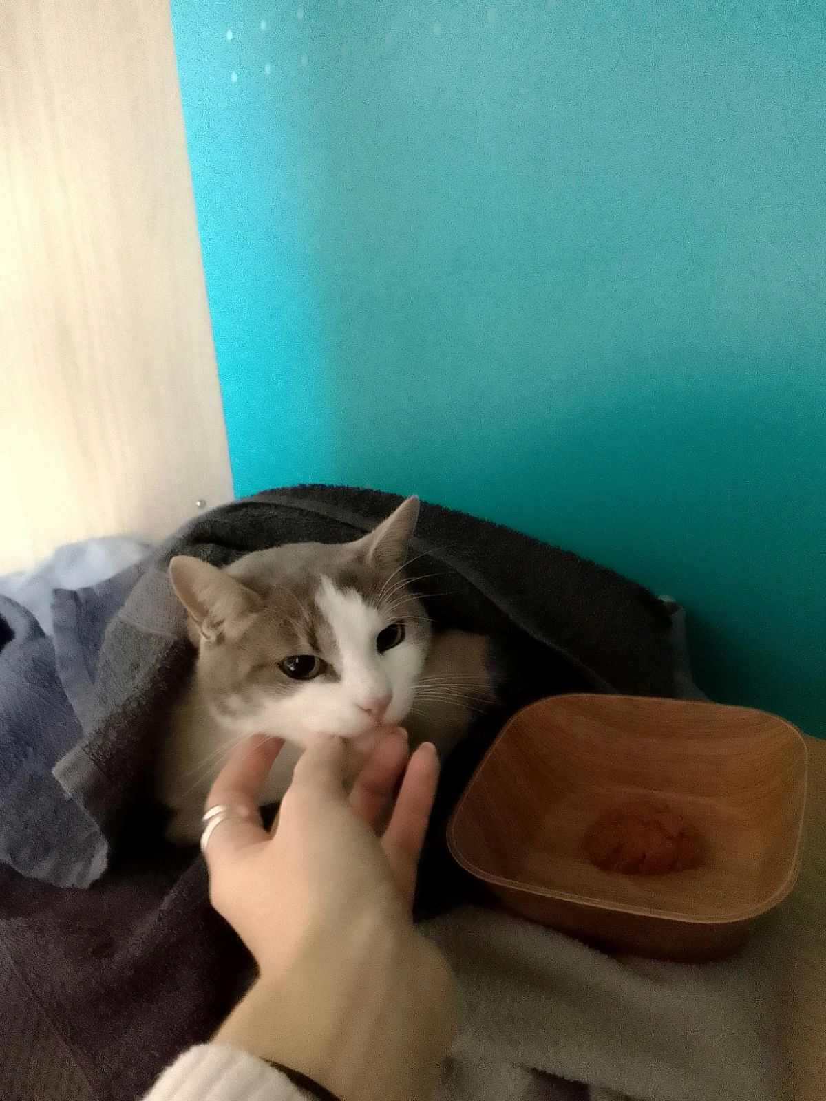 Abda - 96 Rue du Maréchal Clauzel, Pamiers