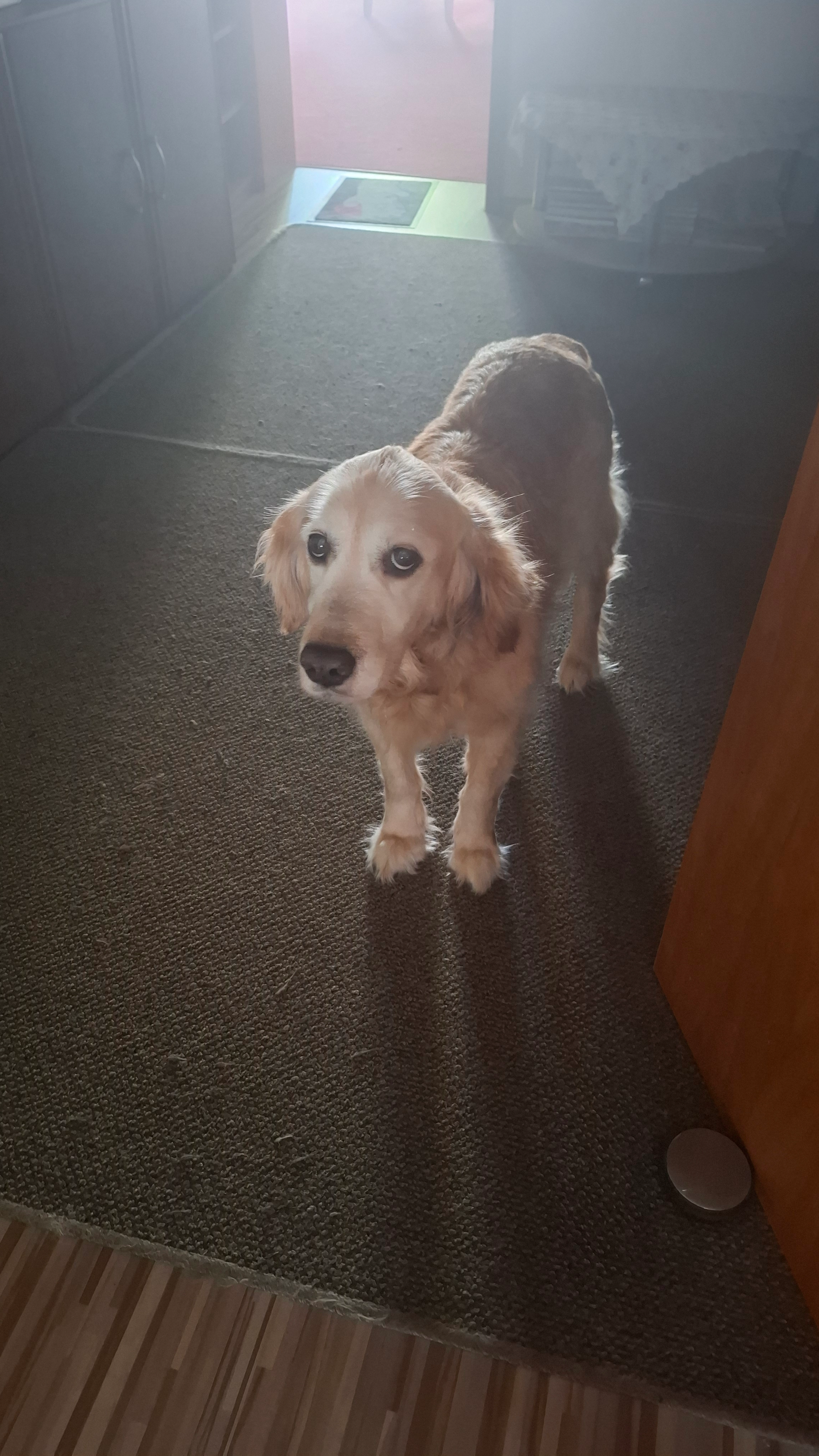 Heaven - Ripsdörnestraße, Oberhausen