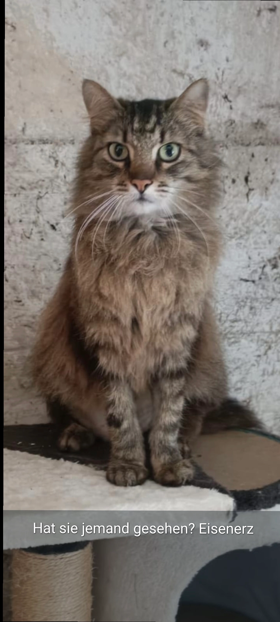 Mia - Freiheitsplatz 5, Eisenerz