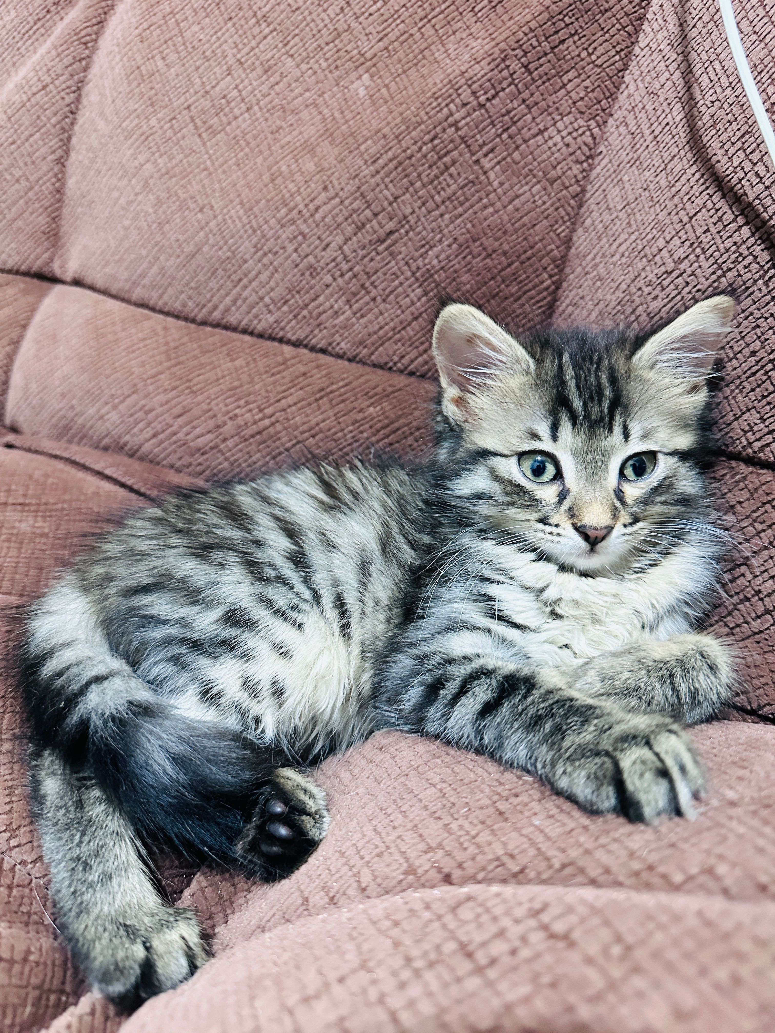 Theo - Vazha-Pshavela Blocks, Tbilisi