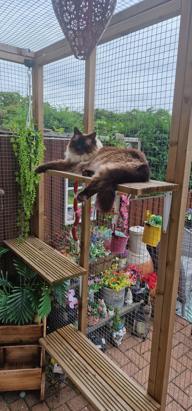 Ragnar - Burstead Drive, Billericay