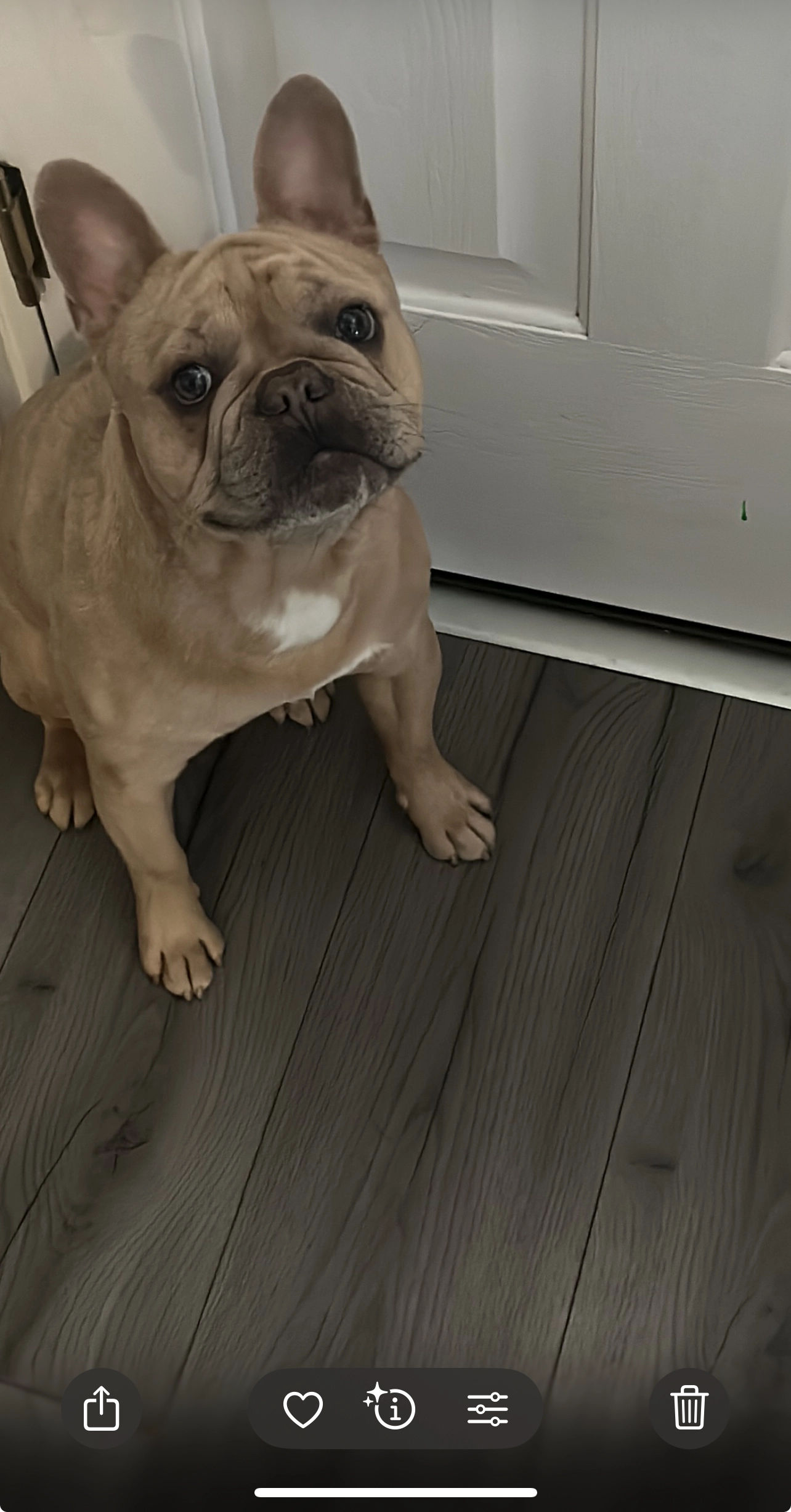 Diego  - Ten Acres Lane, Manchester