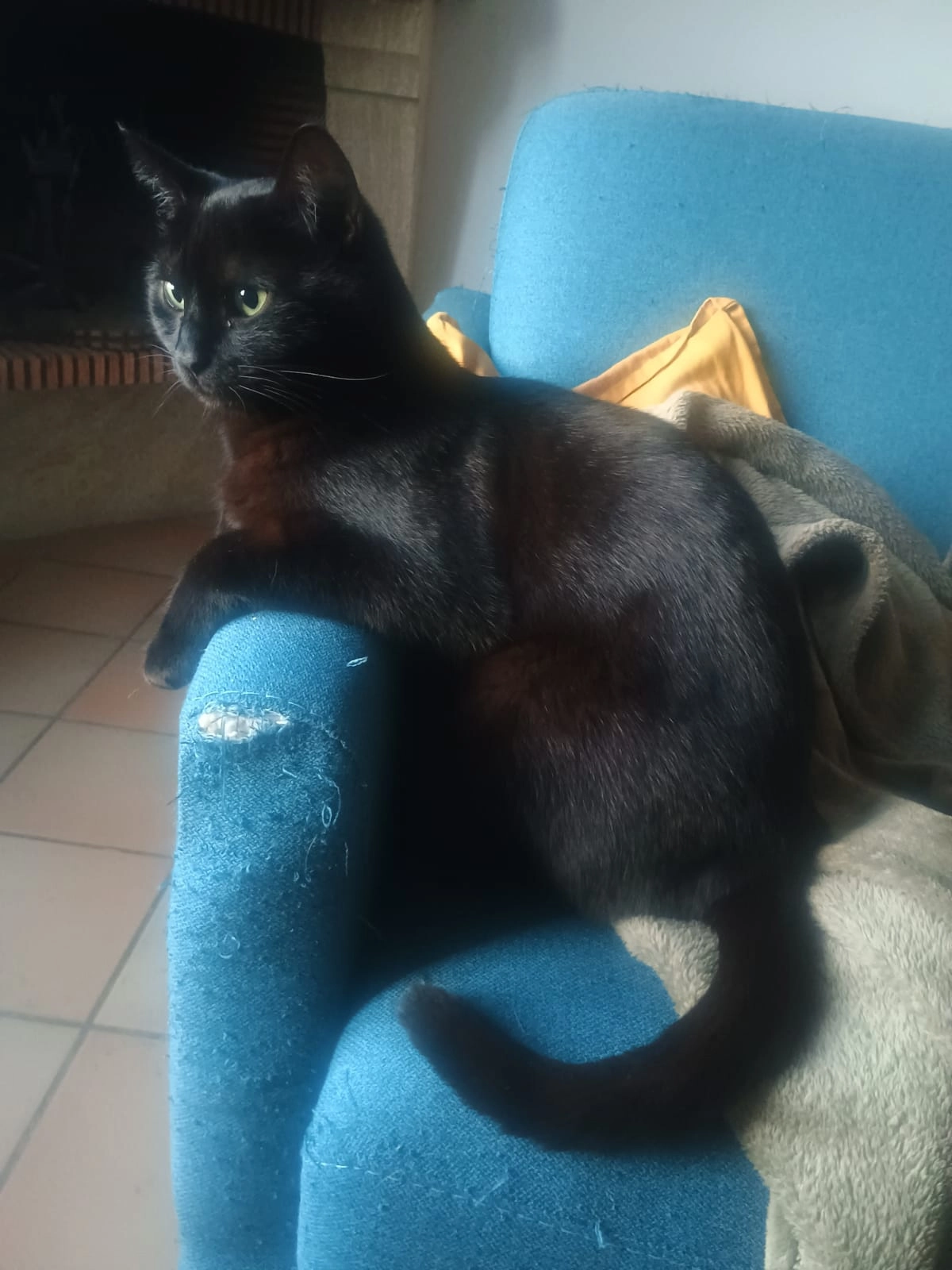 Ramones - Rue Docteur Vidal, Hyères