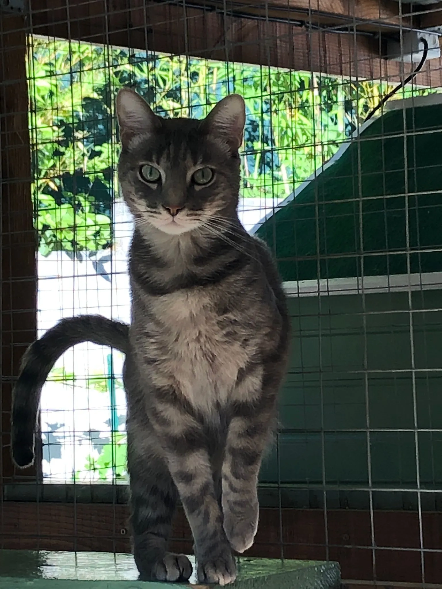 Snickers - Avenue Jean Aurillon, Générac