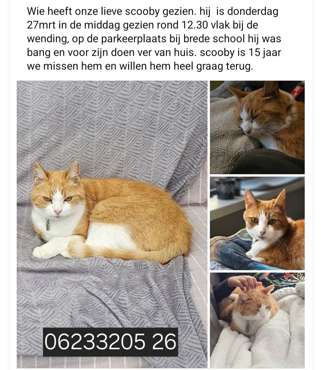 scooby - Waddenweg, Delfzijl