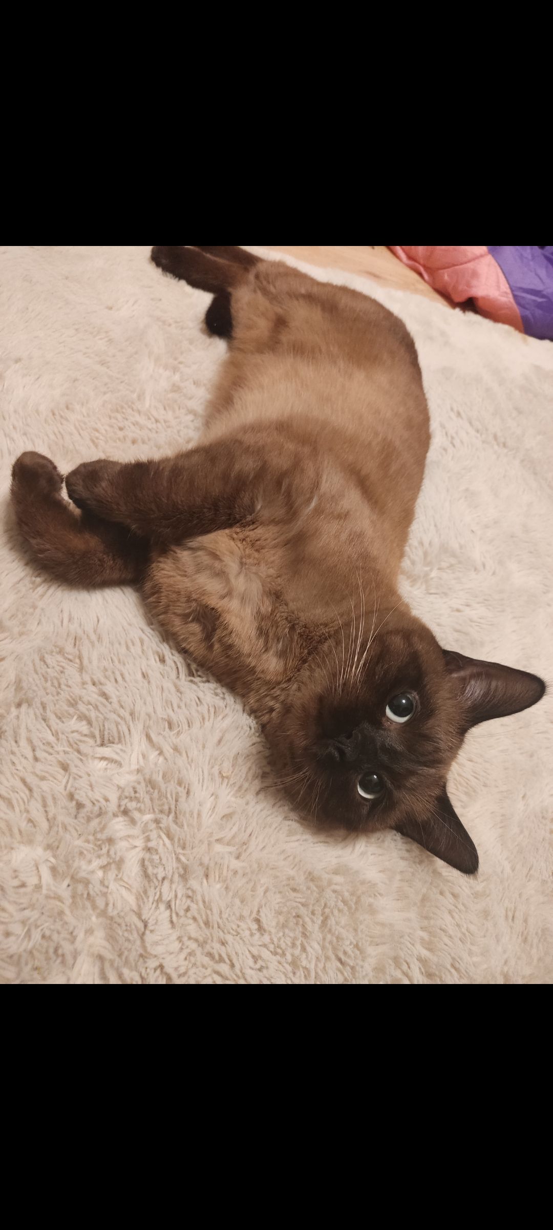 Kai - Dieraer Weg, Meißen