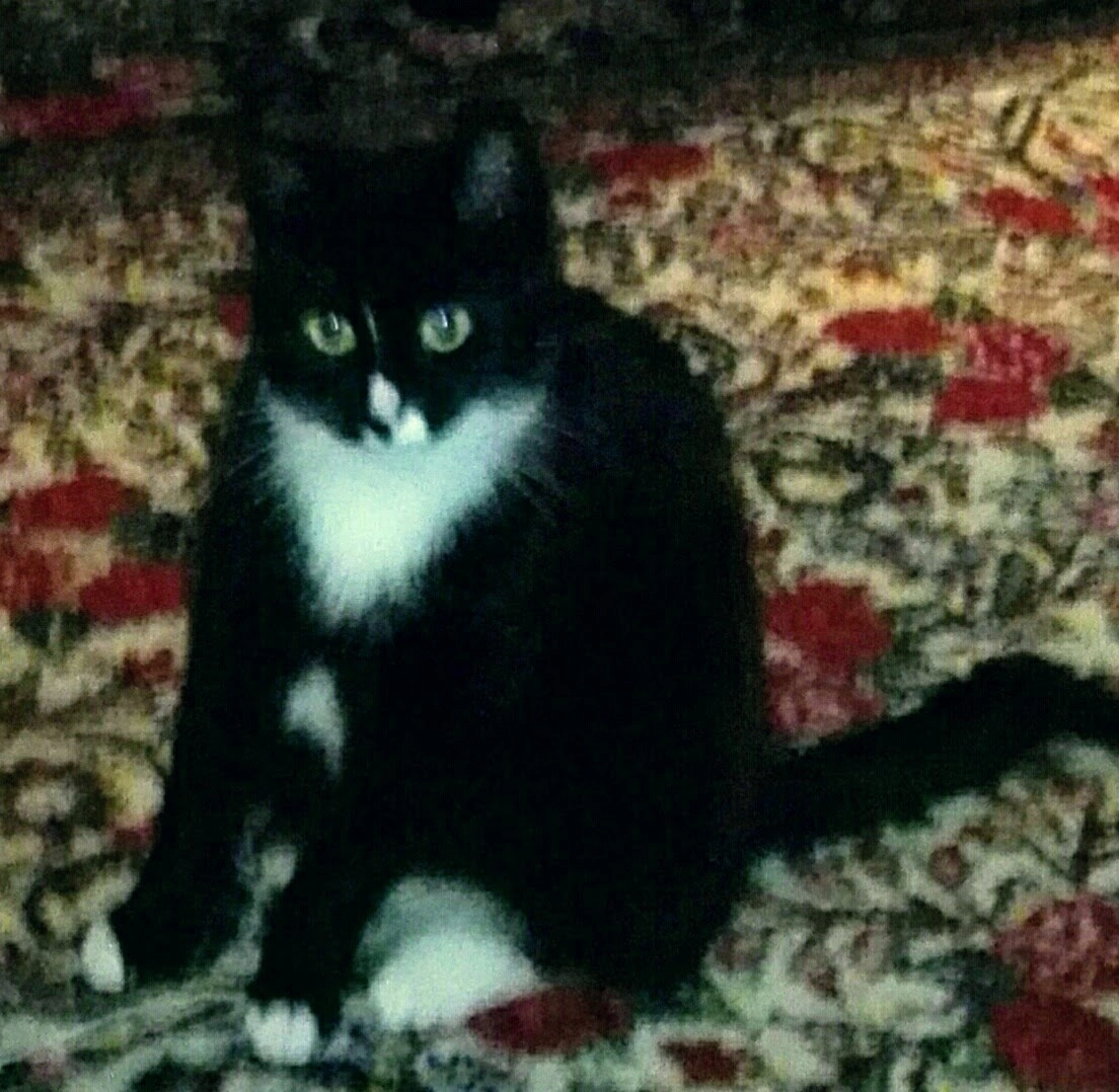 Poessie - Stokebrand, Zutphen