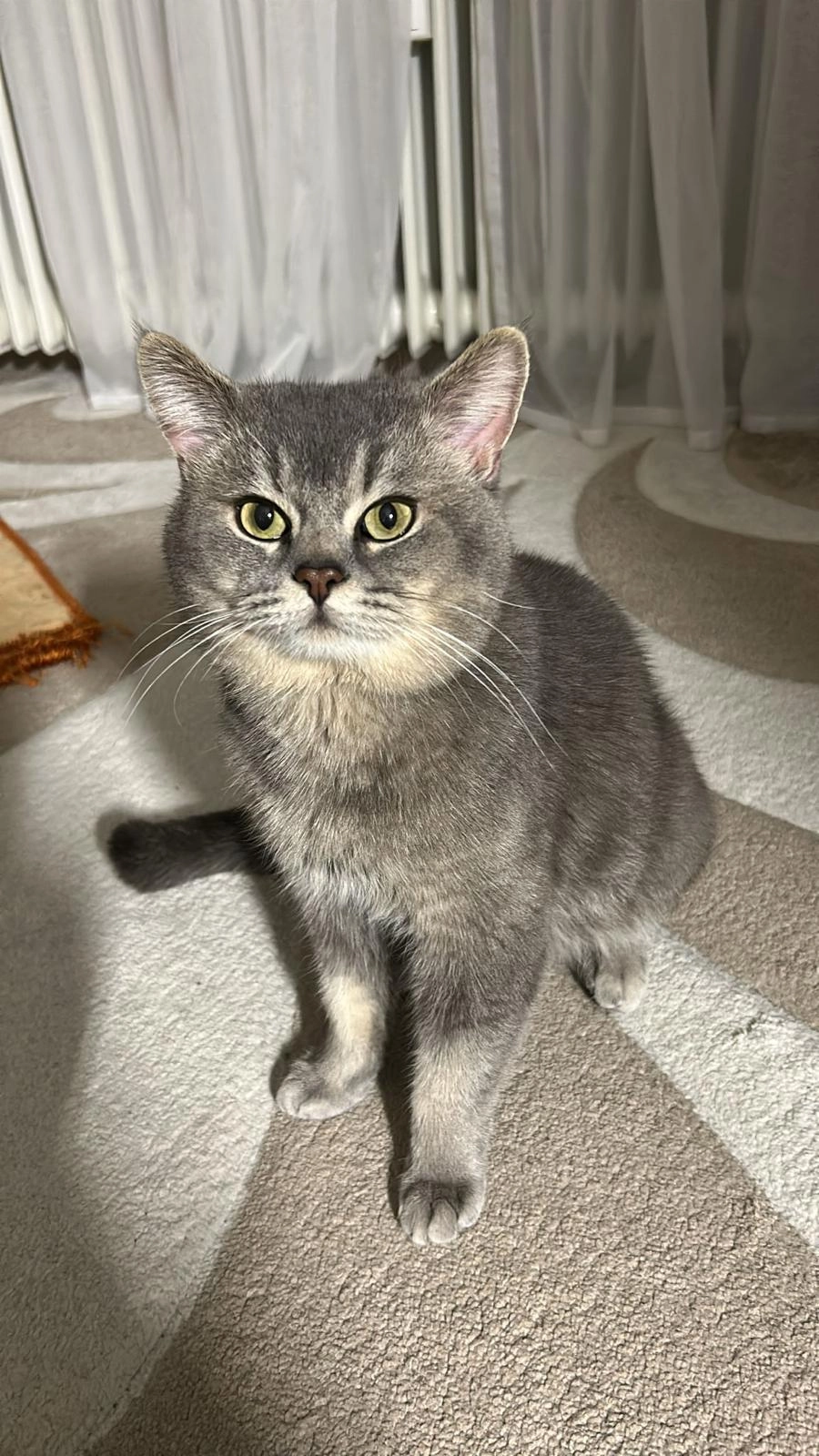 Barbossik - Christianstraße 54, Neumünster 