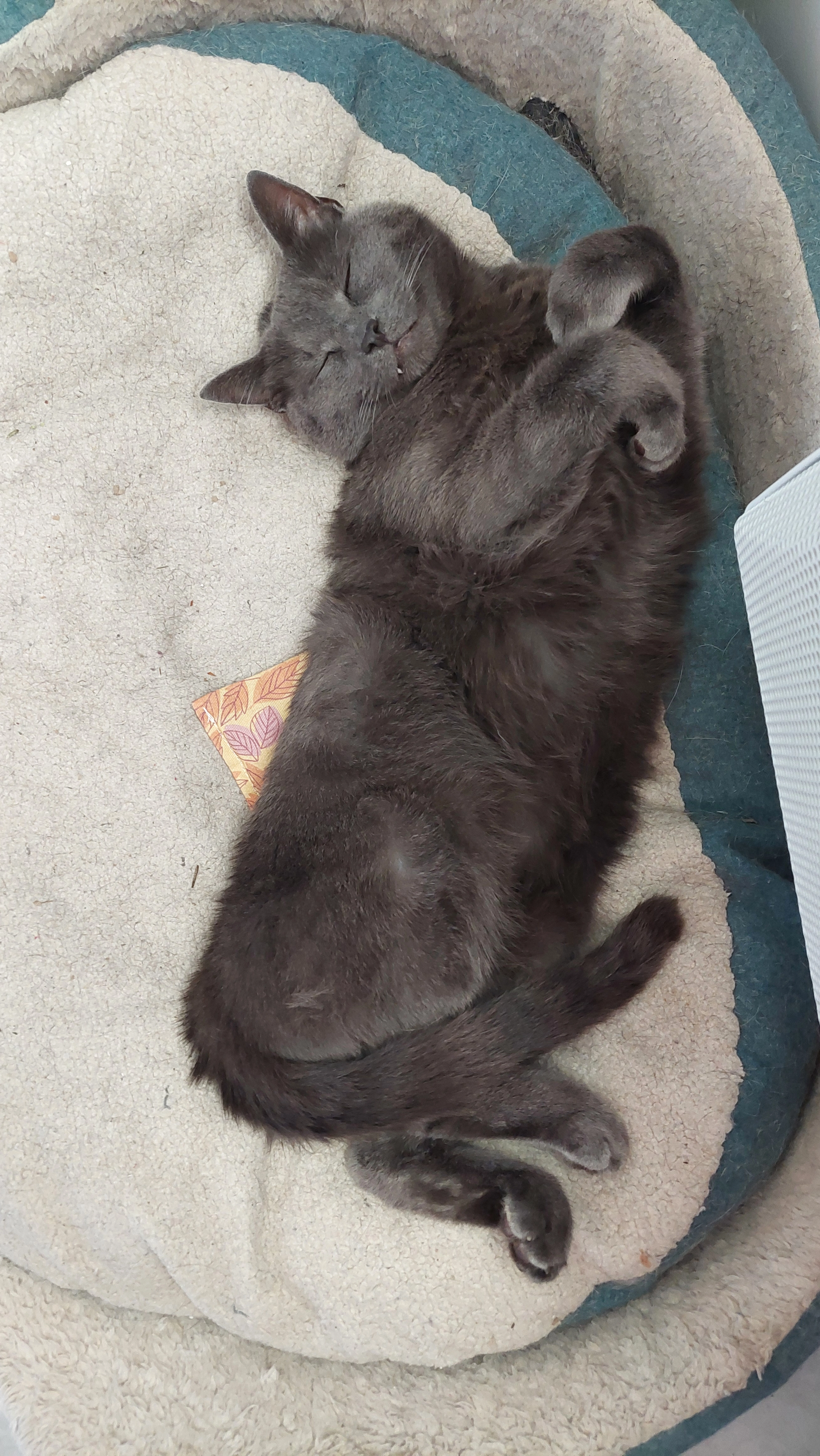 Jet set - 35 Chemin de Saint-Blaise, Maubec