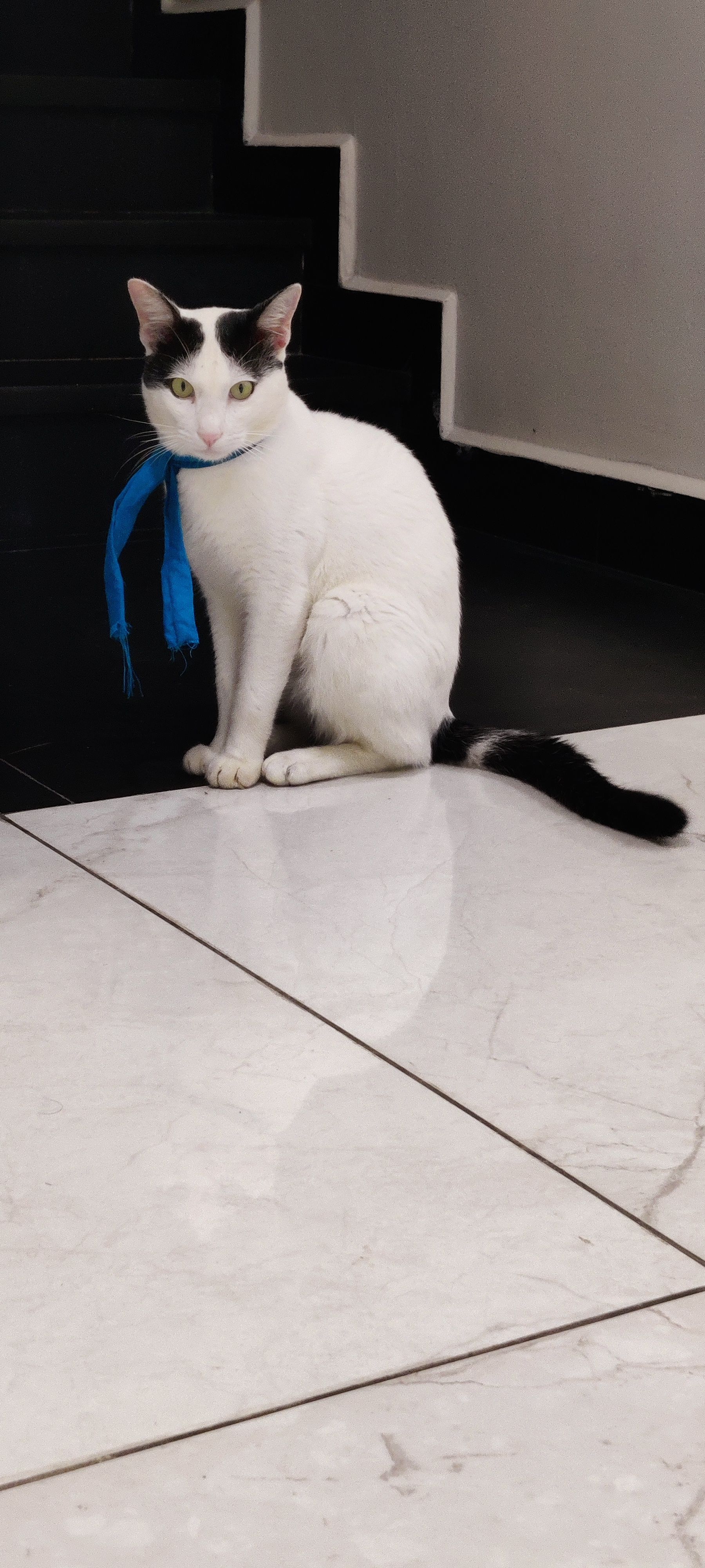 Mani - 590008, Belgaum