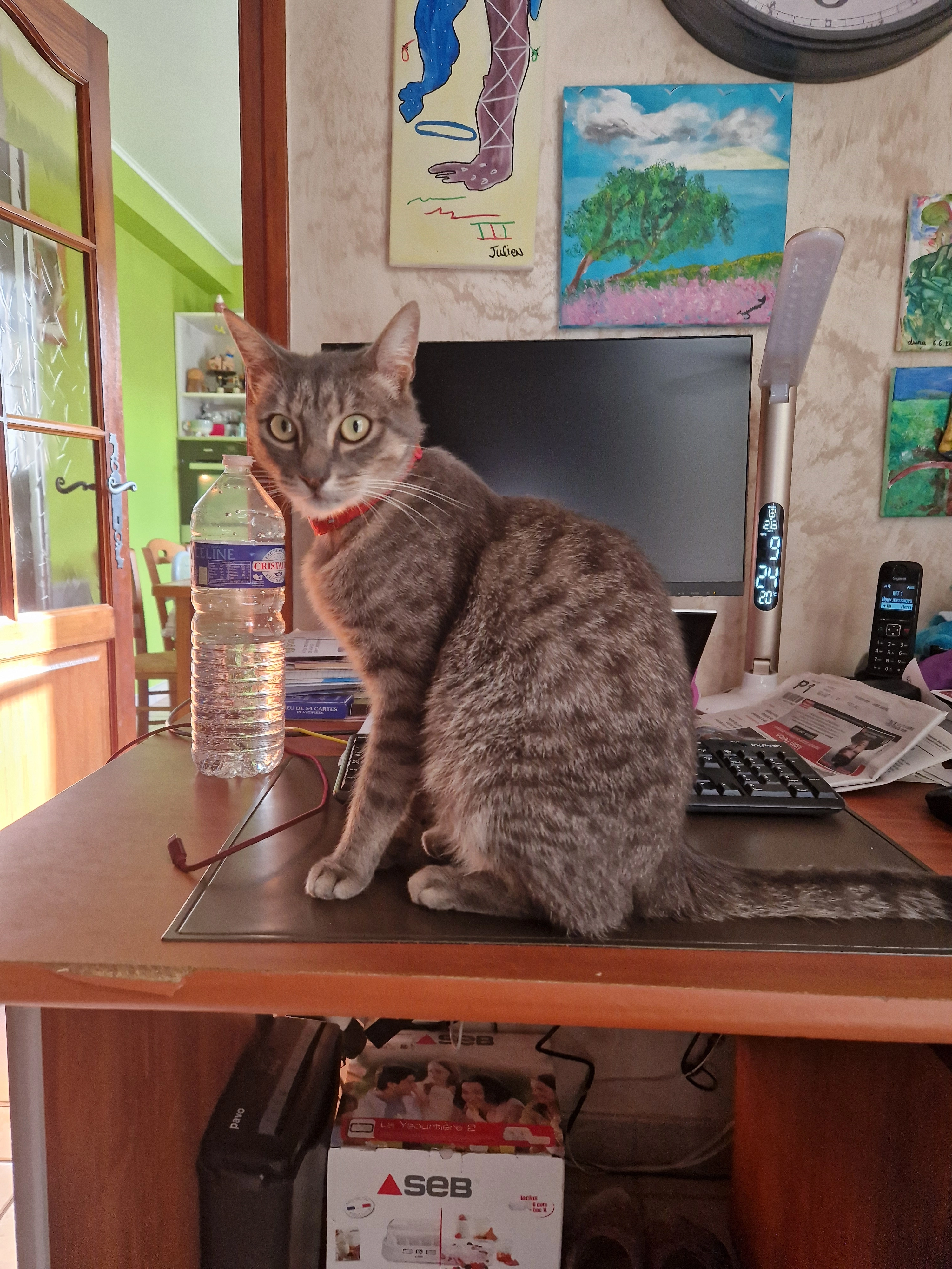 Snow - 30 Rue Nationale, Monnaie