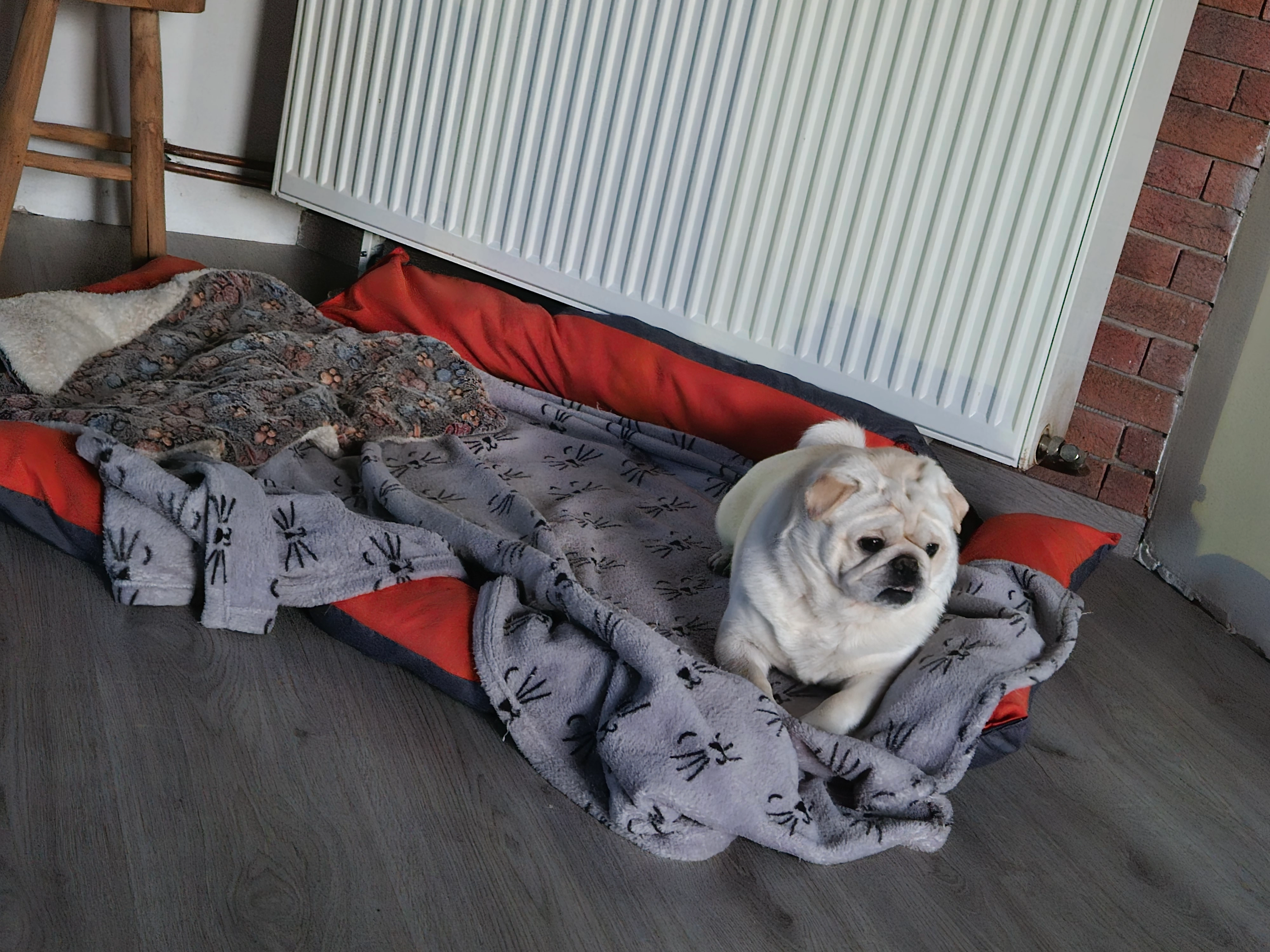 Trevor - Rue Pont De Bois, Walcourt