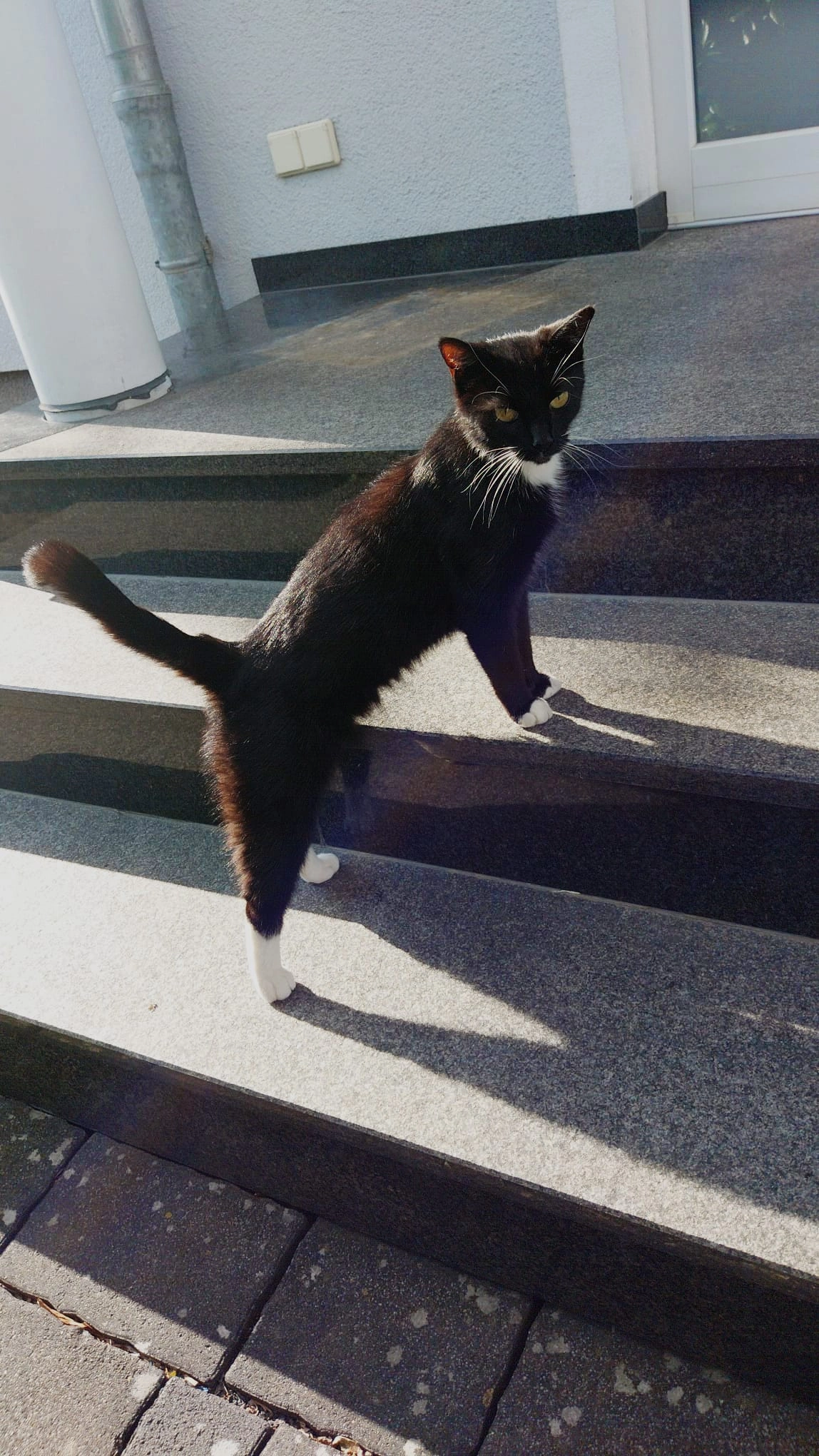 Poly - Habichtsweg, Warburg