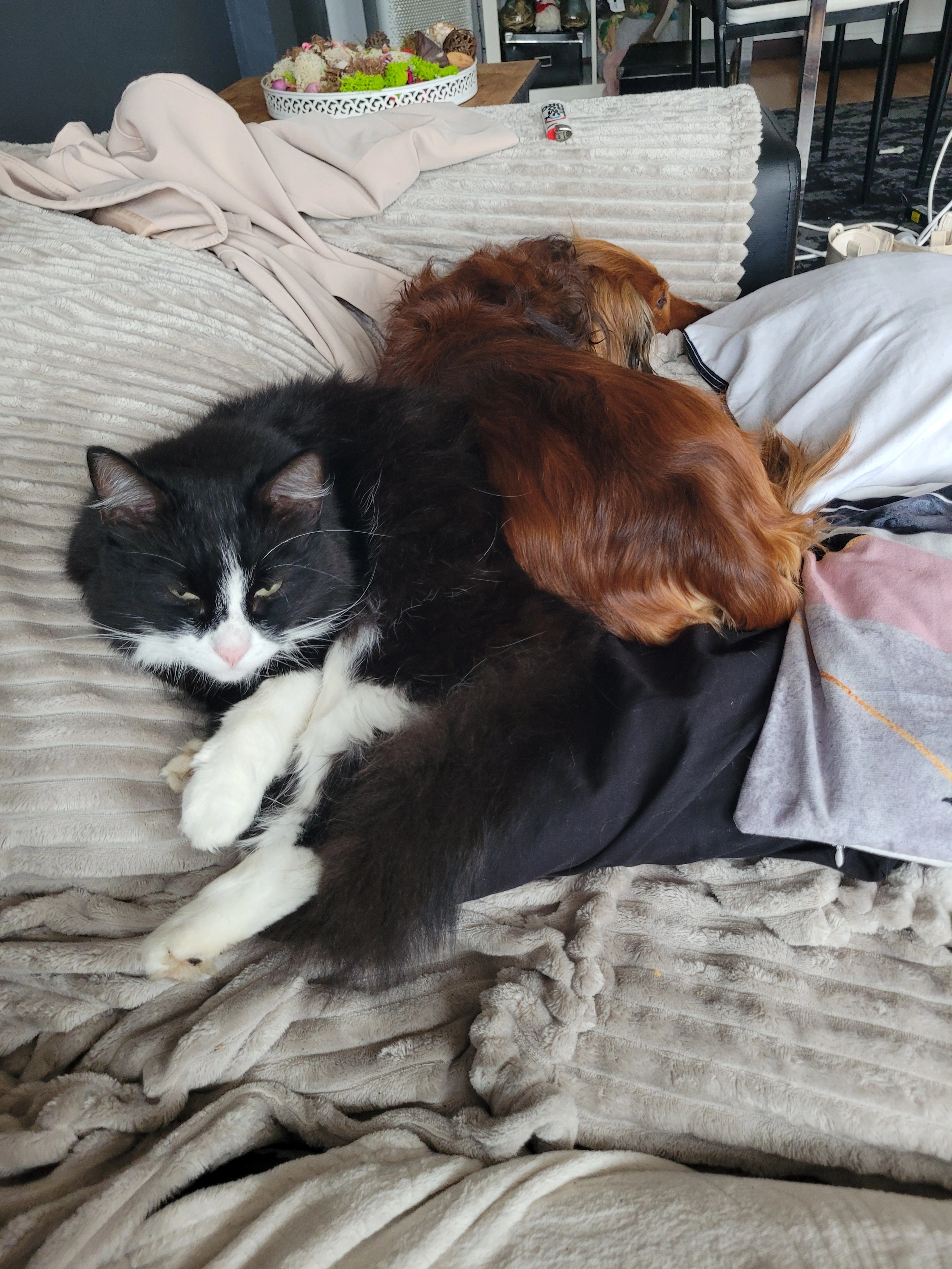 Lilith - Rue des Scieries, Bastogne