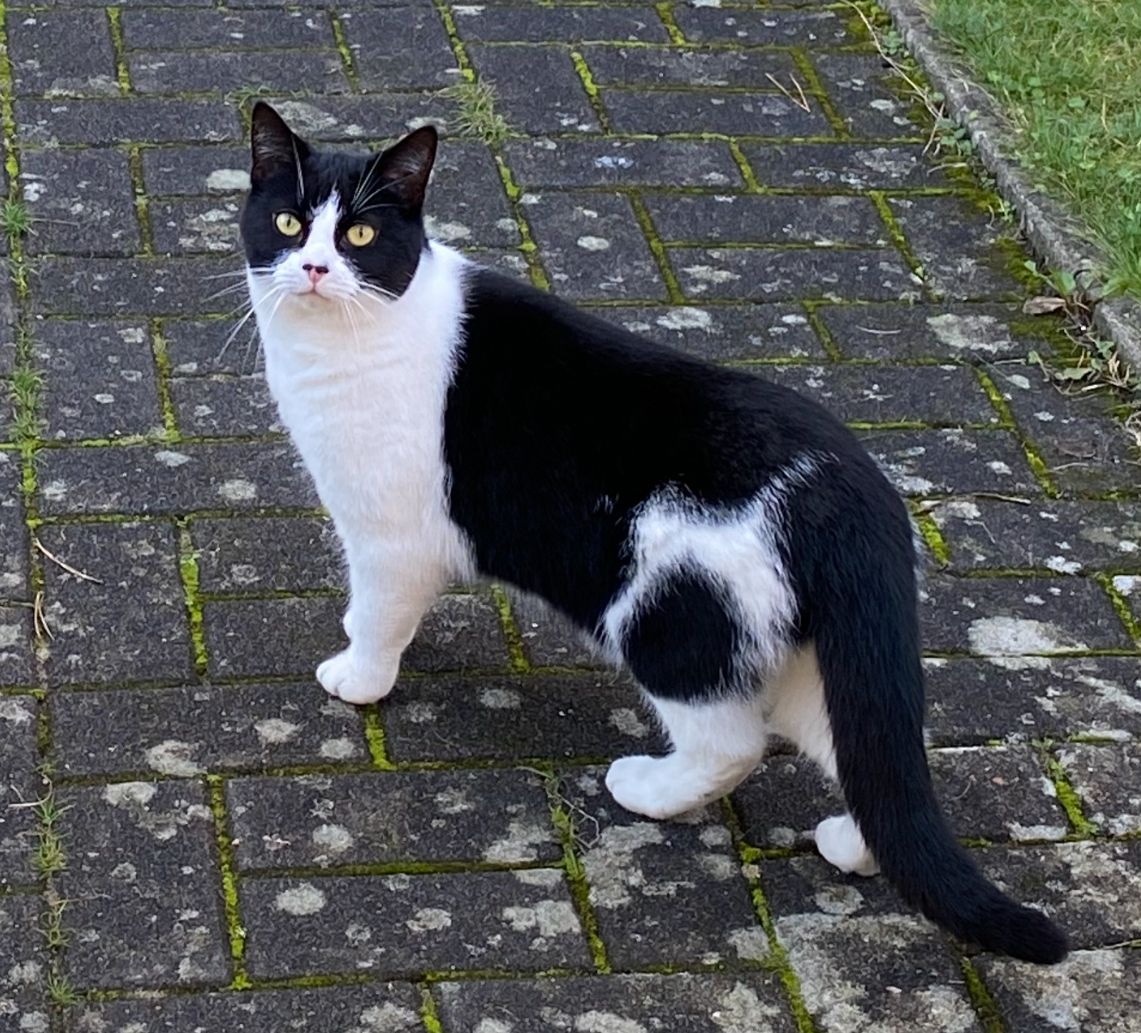 Vally - Stichlingsweg, Zempin