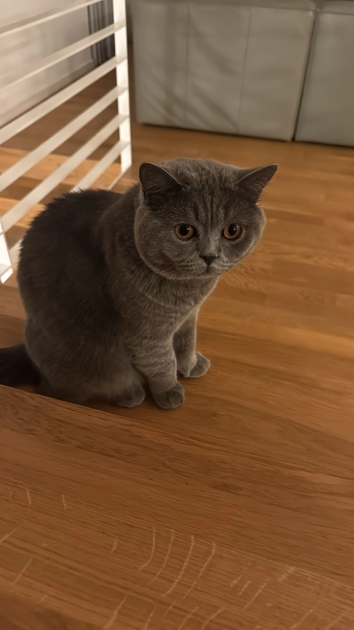 Eddy  - Oberer Ahlenbergweg, Herdecke