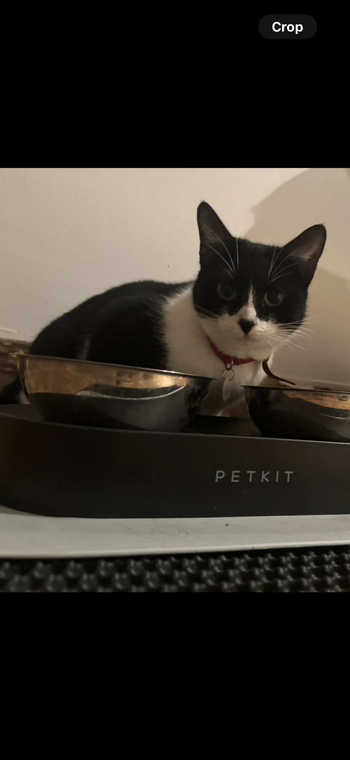 Spinks - 7 Trafalgar Avenue, London