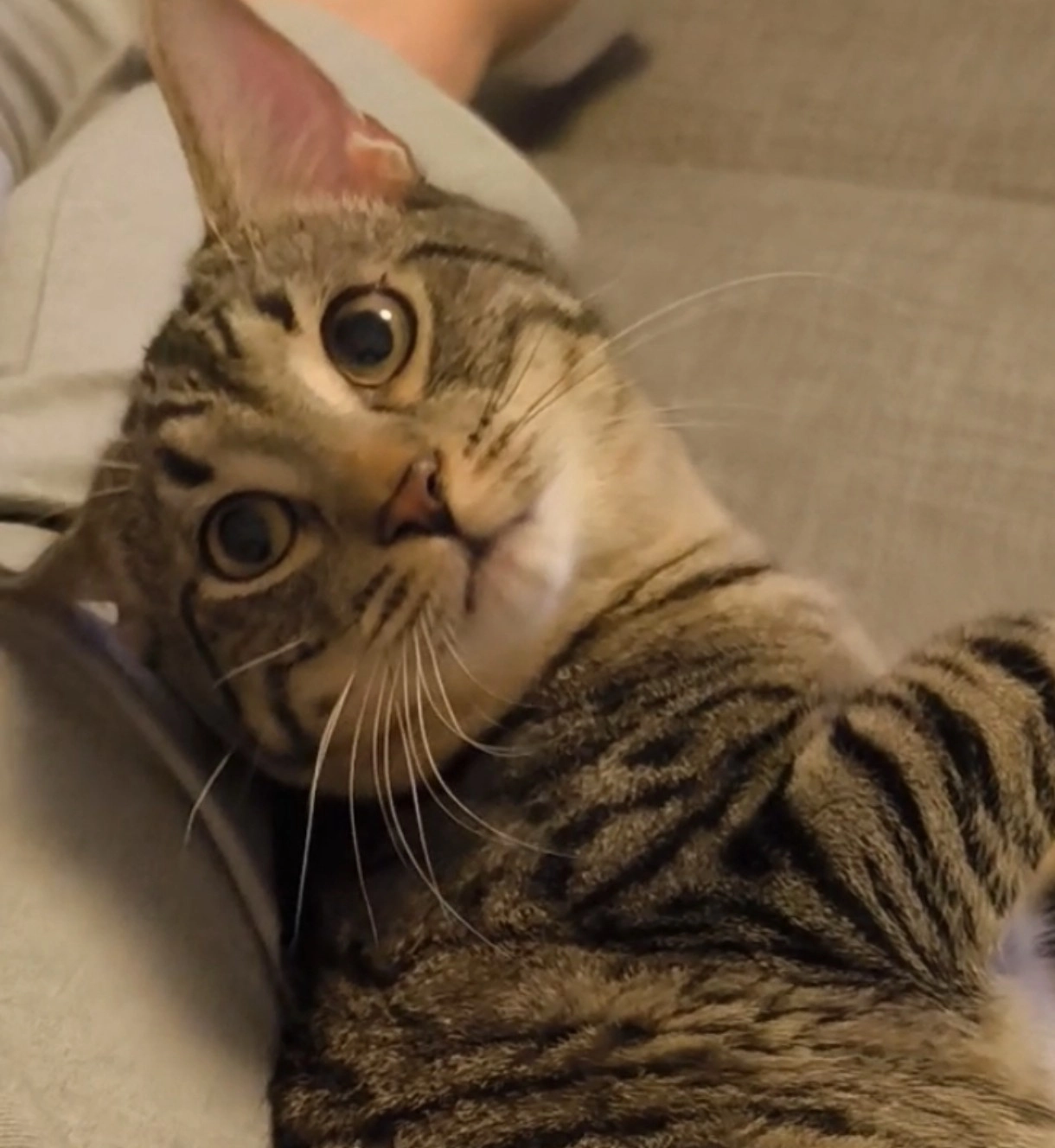 Pandi - Sonnenstraße, Neuwied