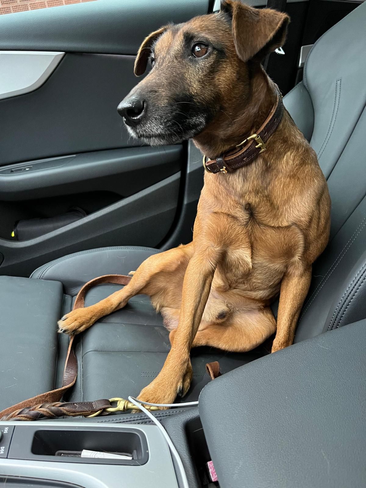 Anton - Dorstener Straße, Herne