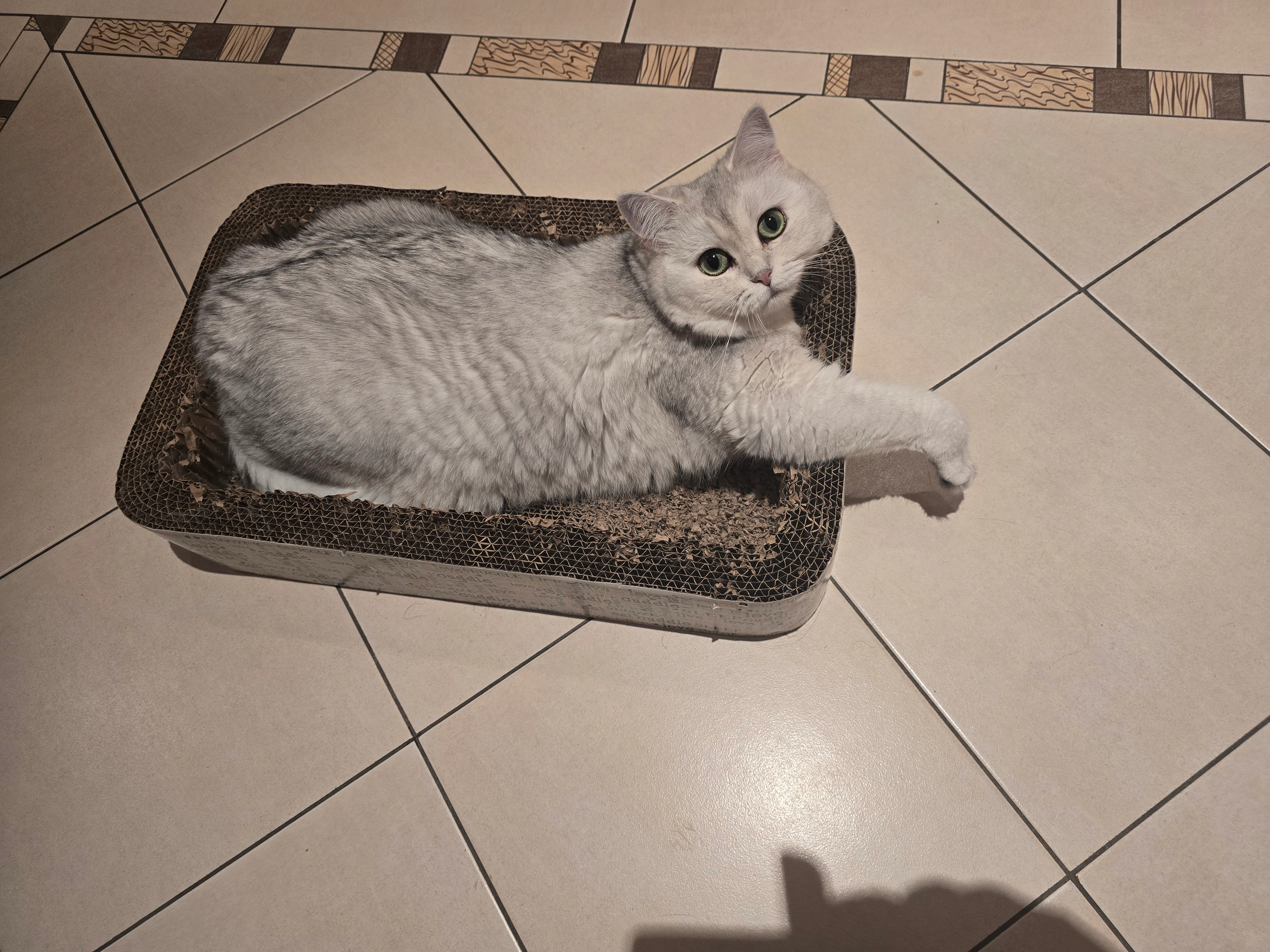 Akira - Radlersiedlung 35, Andorf