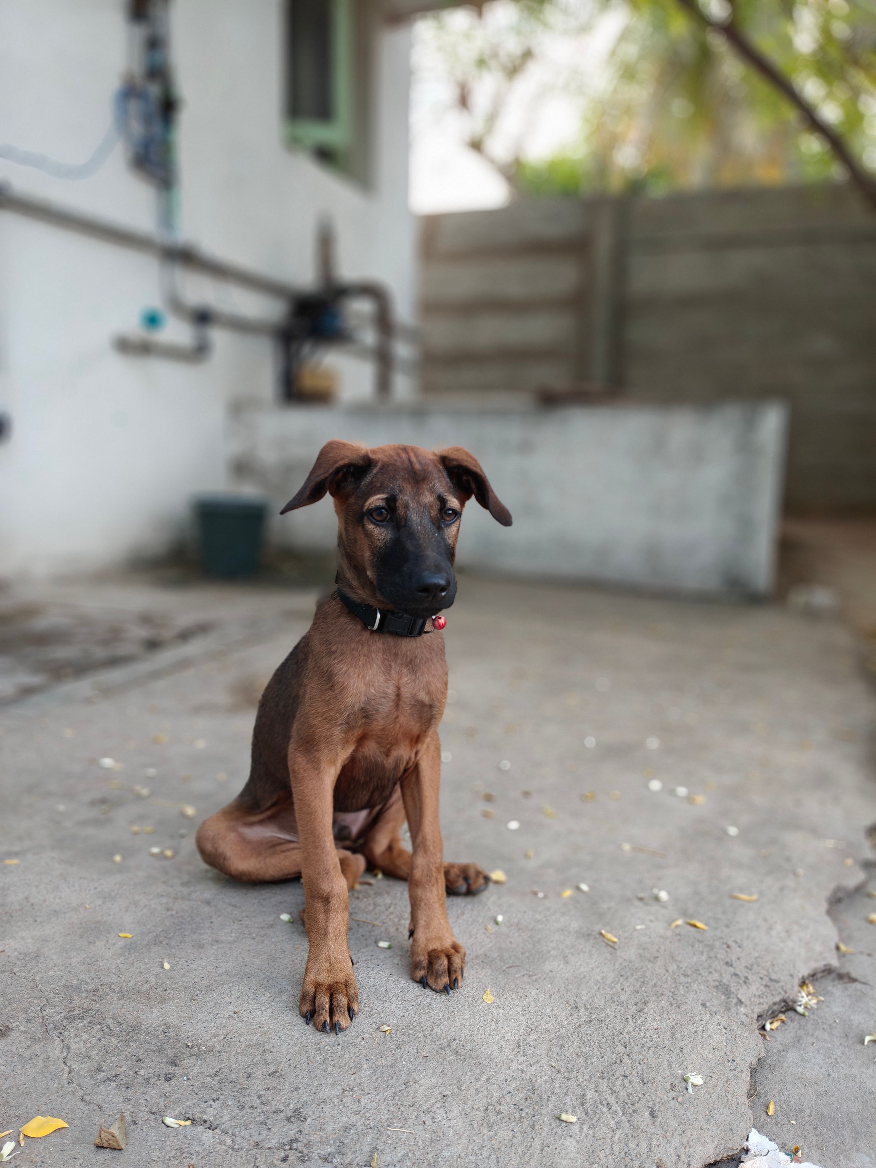 Ramu - 621220, Perambalur