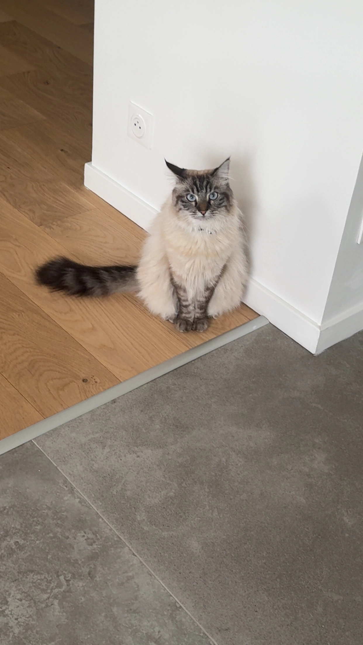 Stan - 31 Allée du Troubadour, Villeneuve-d'Ascq