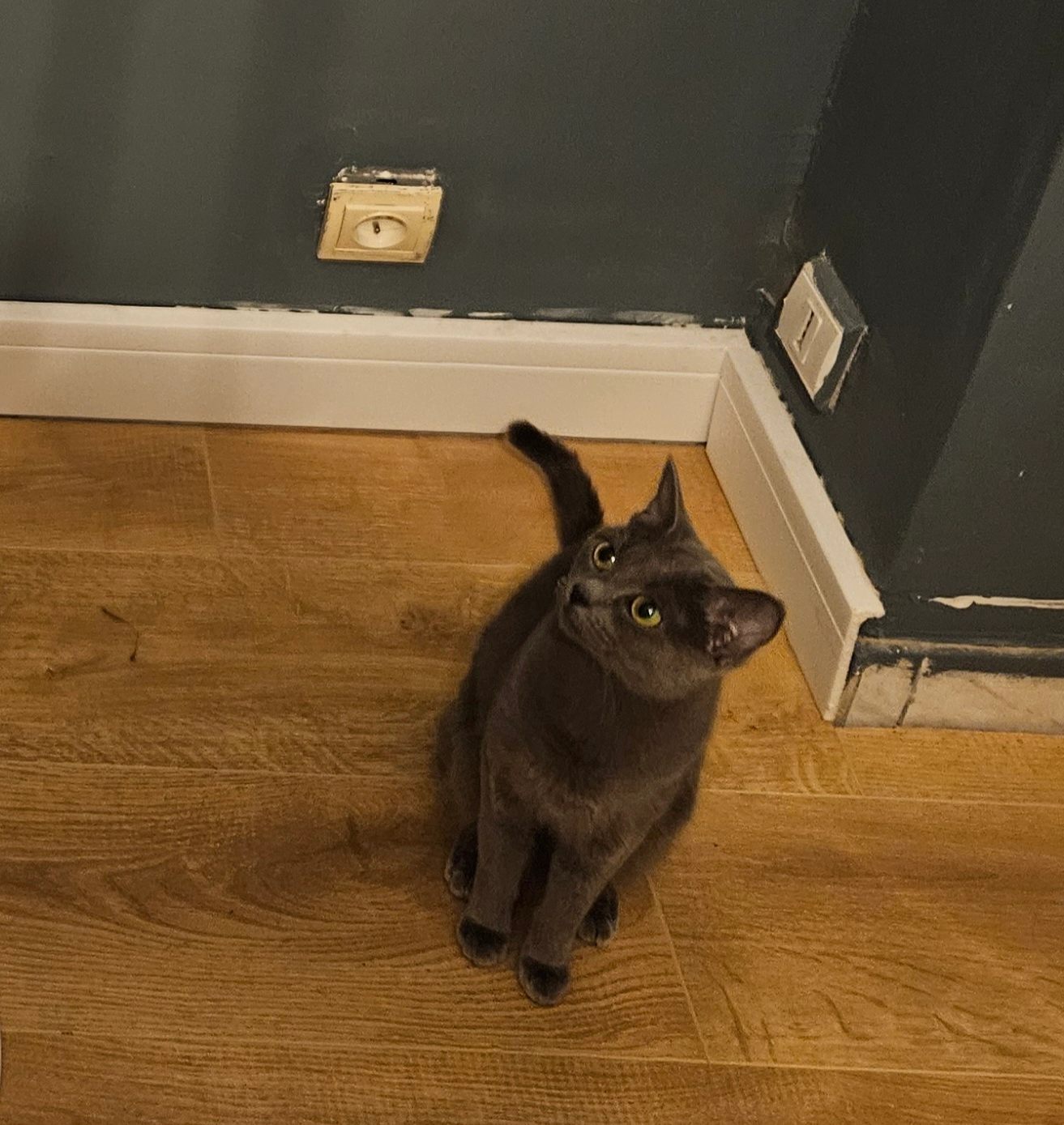 Kali - Place Jean Baptiste Clément, Saint-Martin-d'Hères