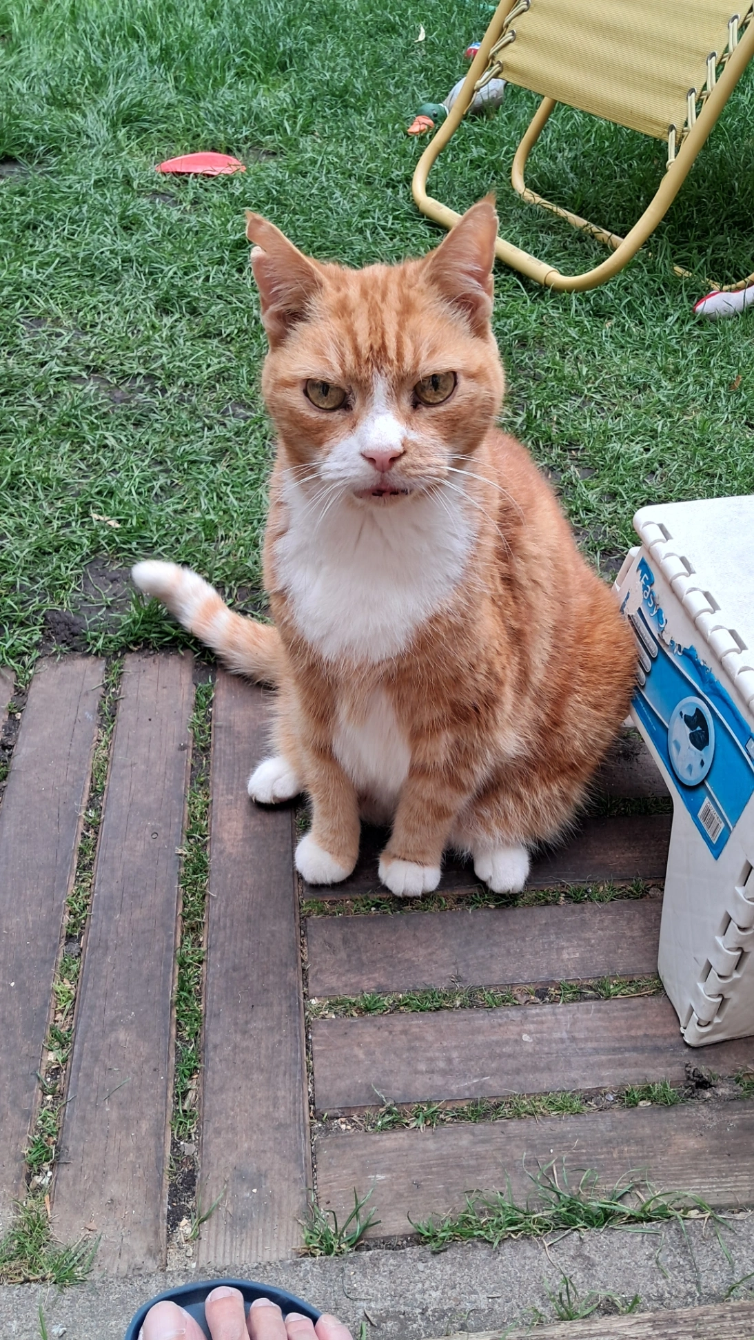 Billy - Tulse Hill, London