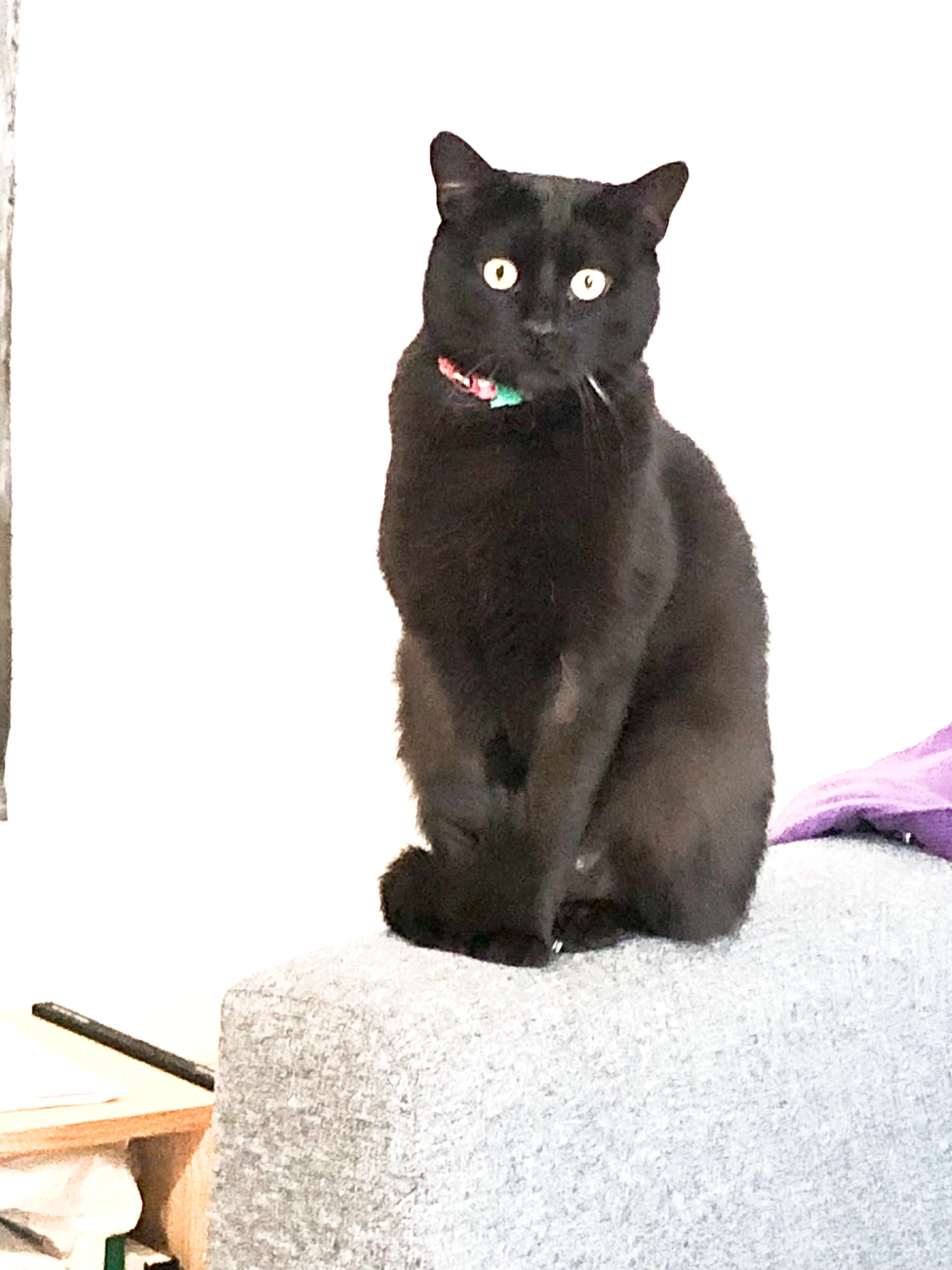 Cesariny - Rua do Andaluz, Lisboa