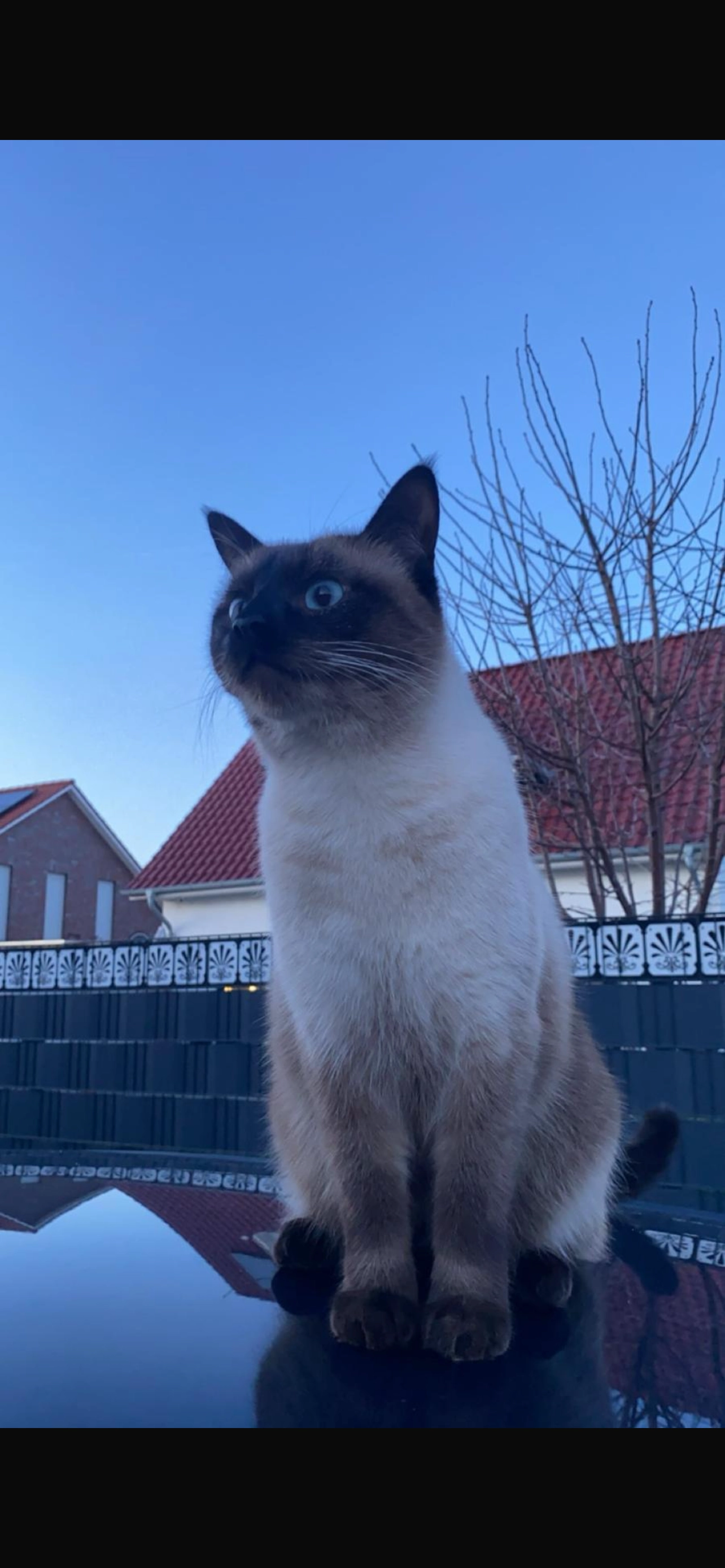 Beppo - Kleines Öhr, Sehnde