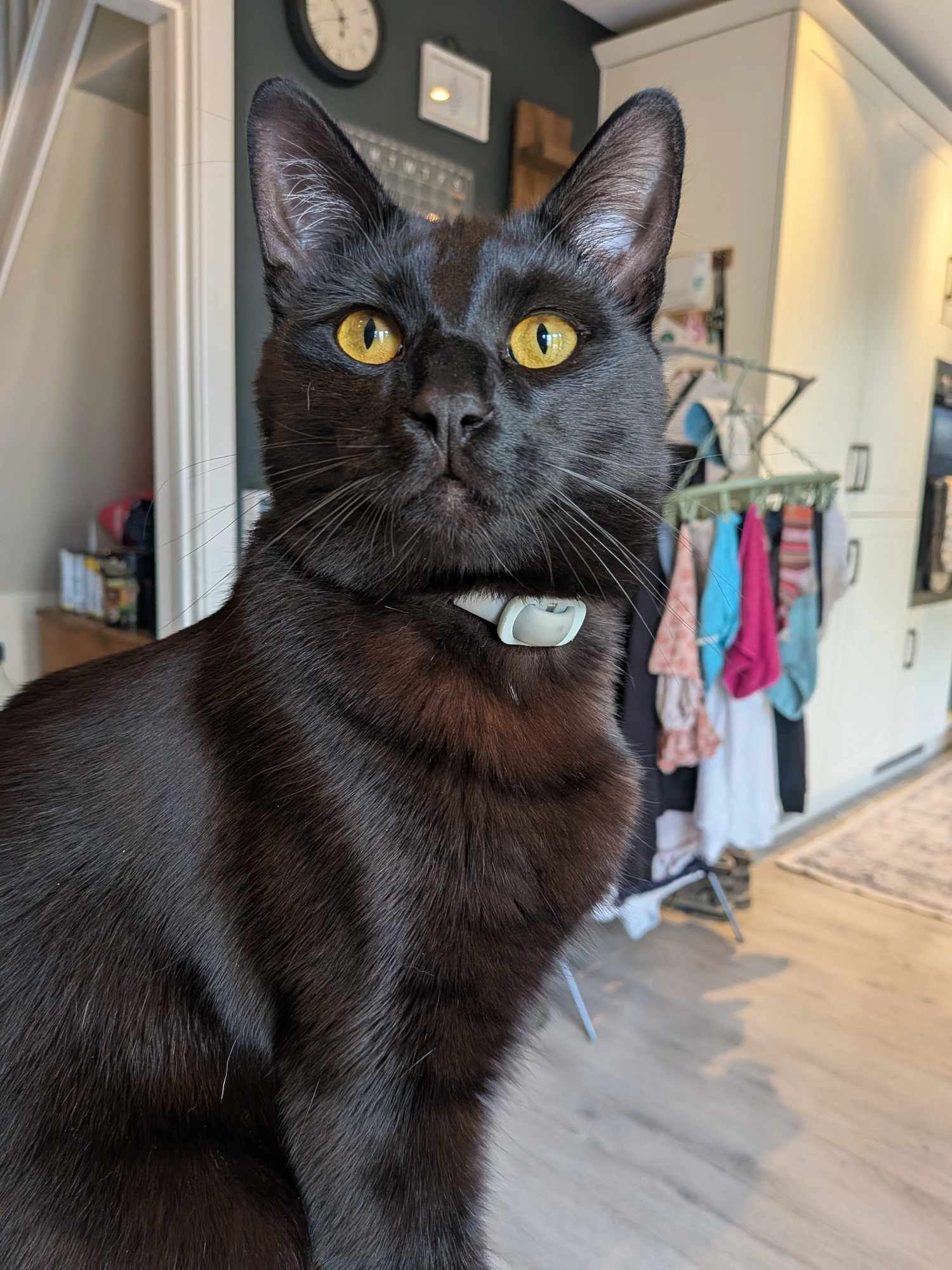 Ambrose  - PR1 9, Preston