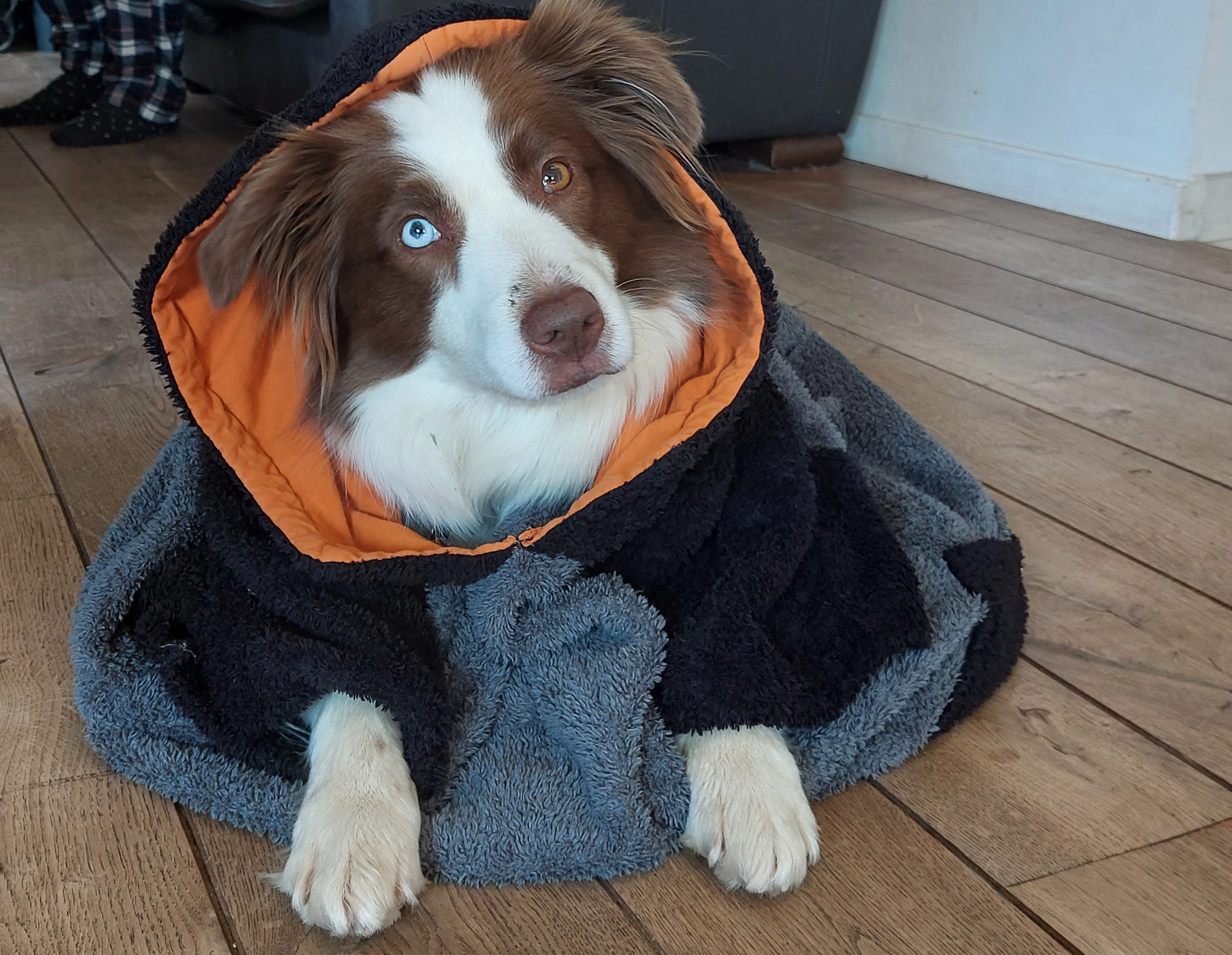 Tika - Avenue Albertine, Rixensart