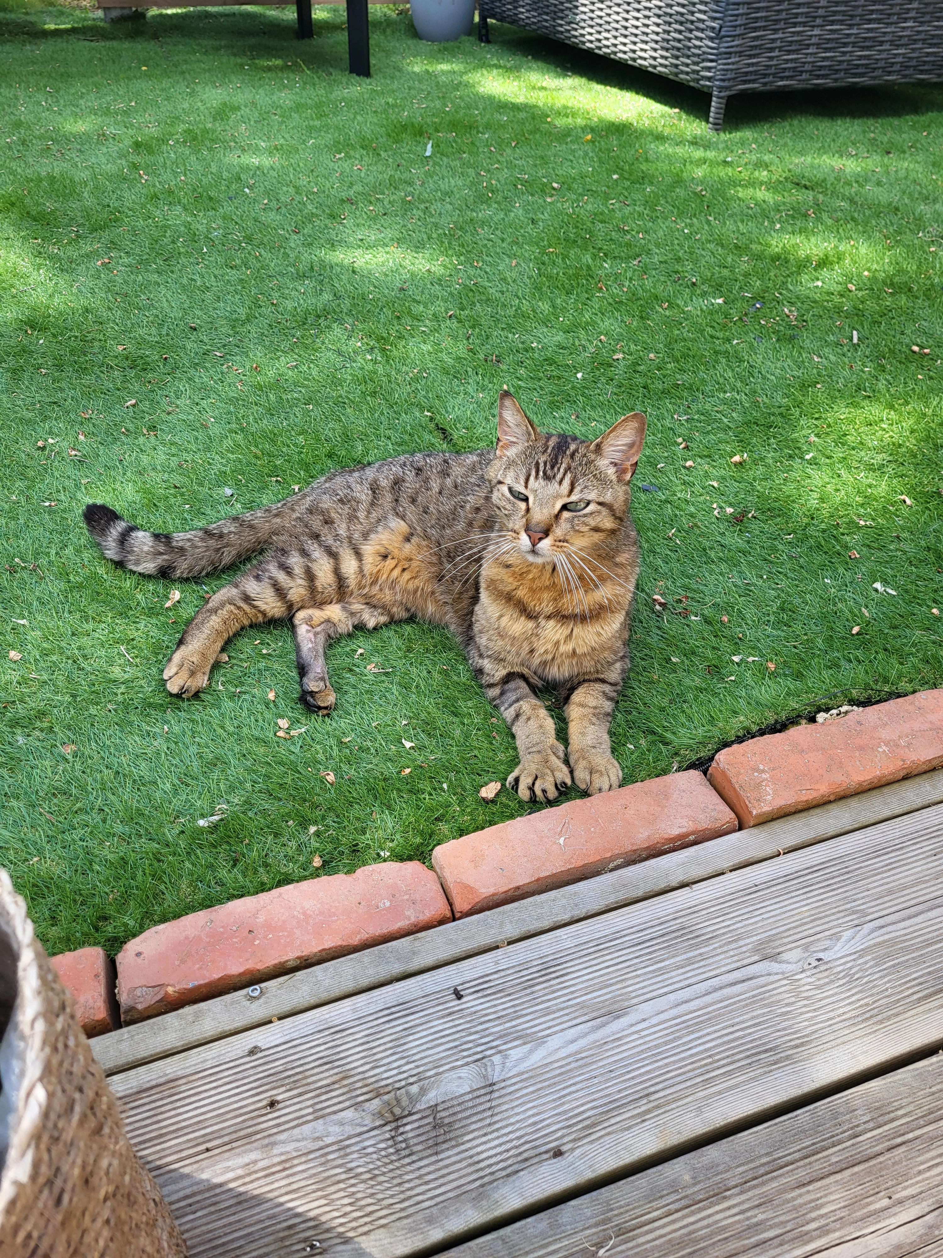 Niglos - 10 Rue de Montreuil-sur-Lozon, Marigny-Le-Lozon