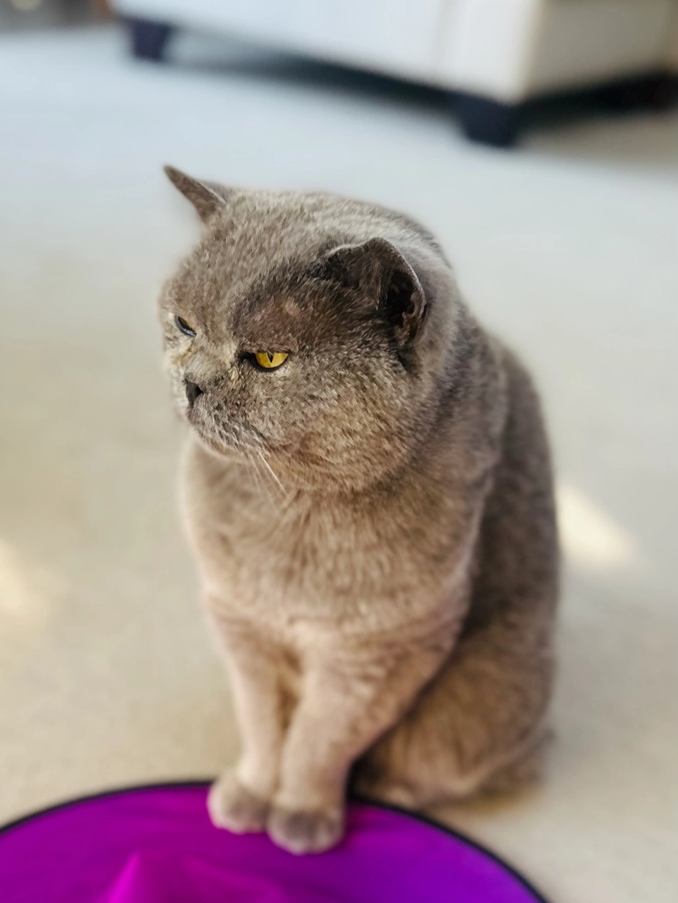 Emie - Headley Way, Headington, Oxford