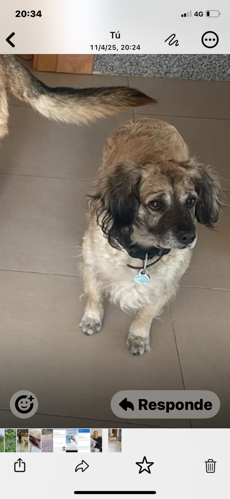 Tayson - Avenida de Miguel Hernández, Villalbilla