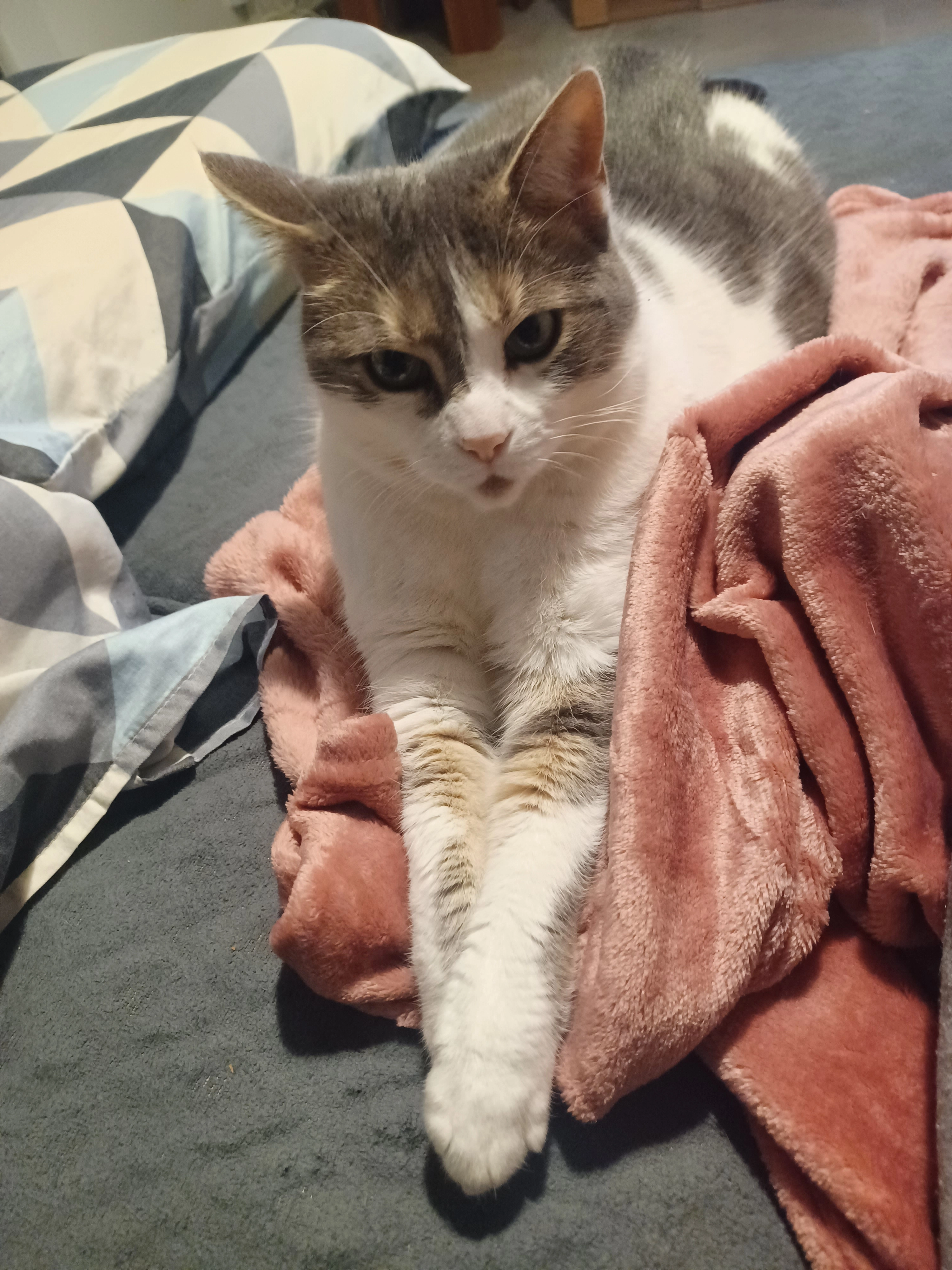 Duchesse - Chemin Des Craies, Aulx-lès-Cromary