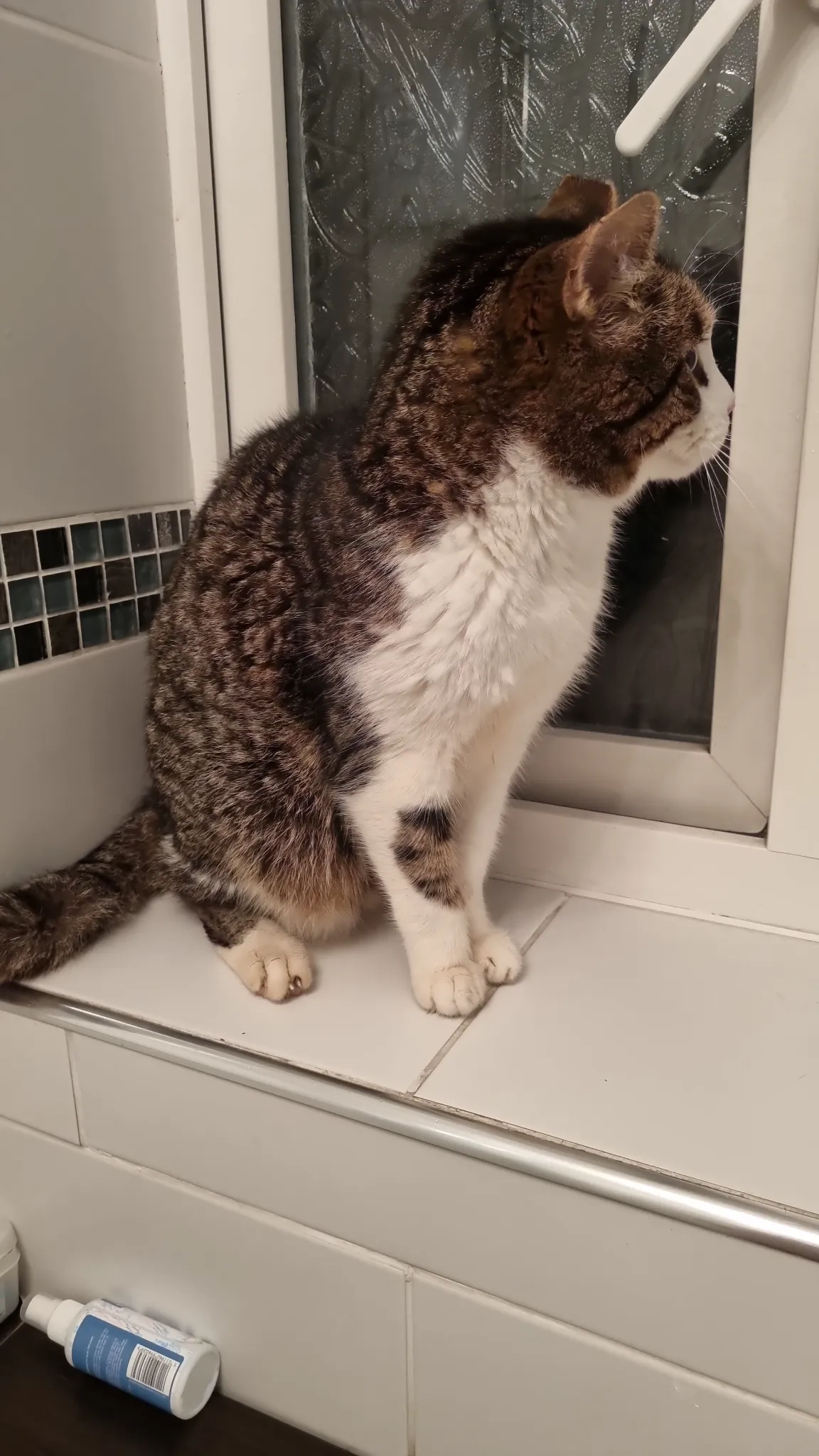 Tim - Badgers Croft, Newcastle-under-Lyme