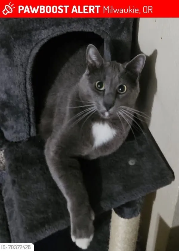 Bootsie - Southeast Linden Place, Milwaukie