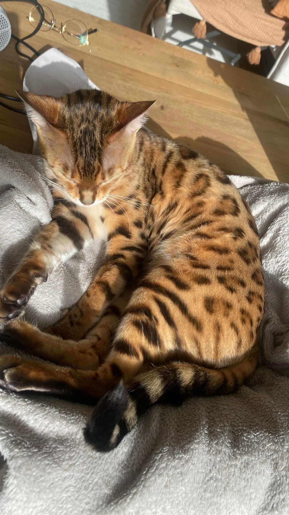 Layna  - Pfingstbrunnenstraße, Schwalbach am Taunus