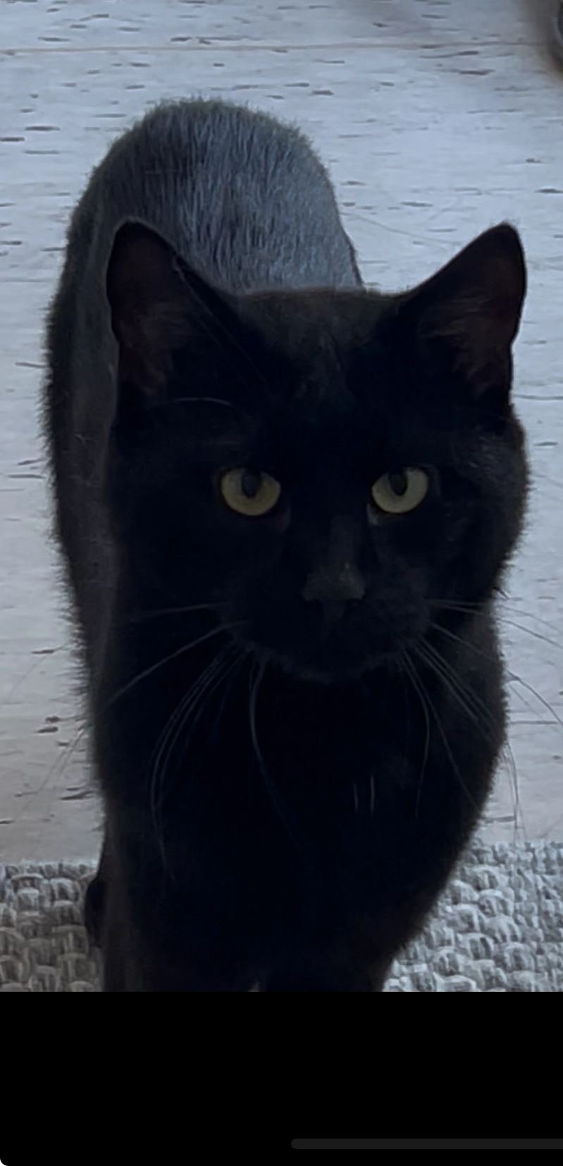 Pablo - Grafensteinstraße, Bamberg