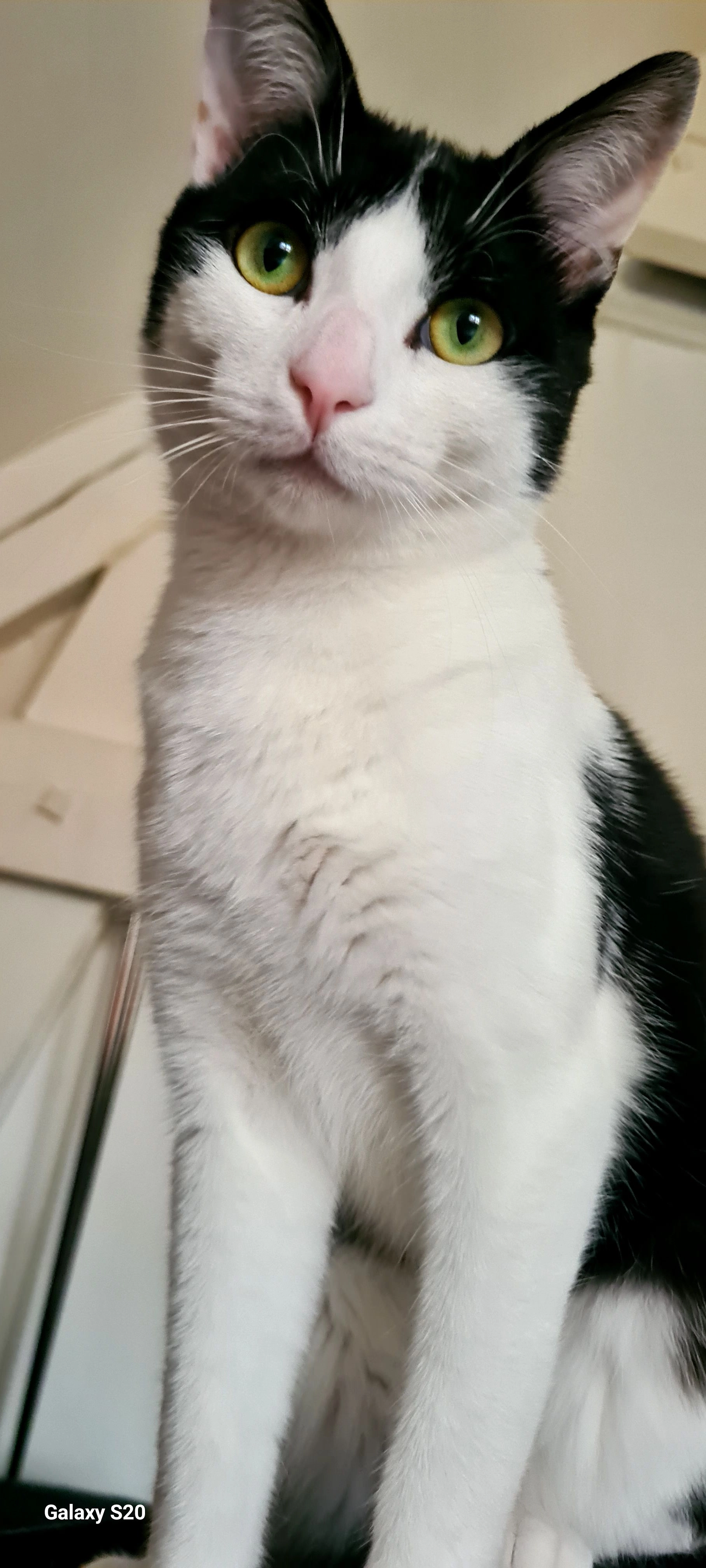 Mando - Rue André Taboulet, Valence-en-Brie