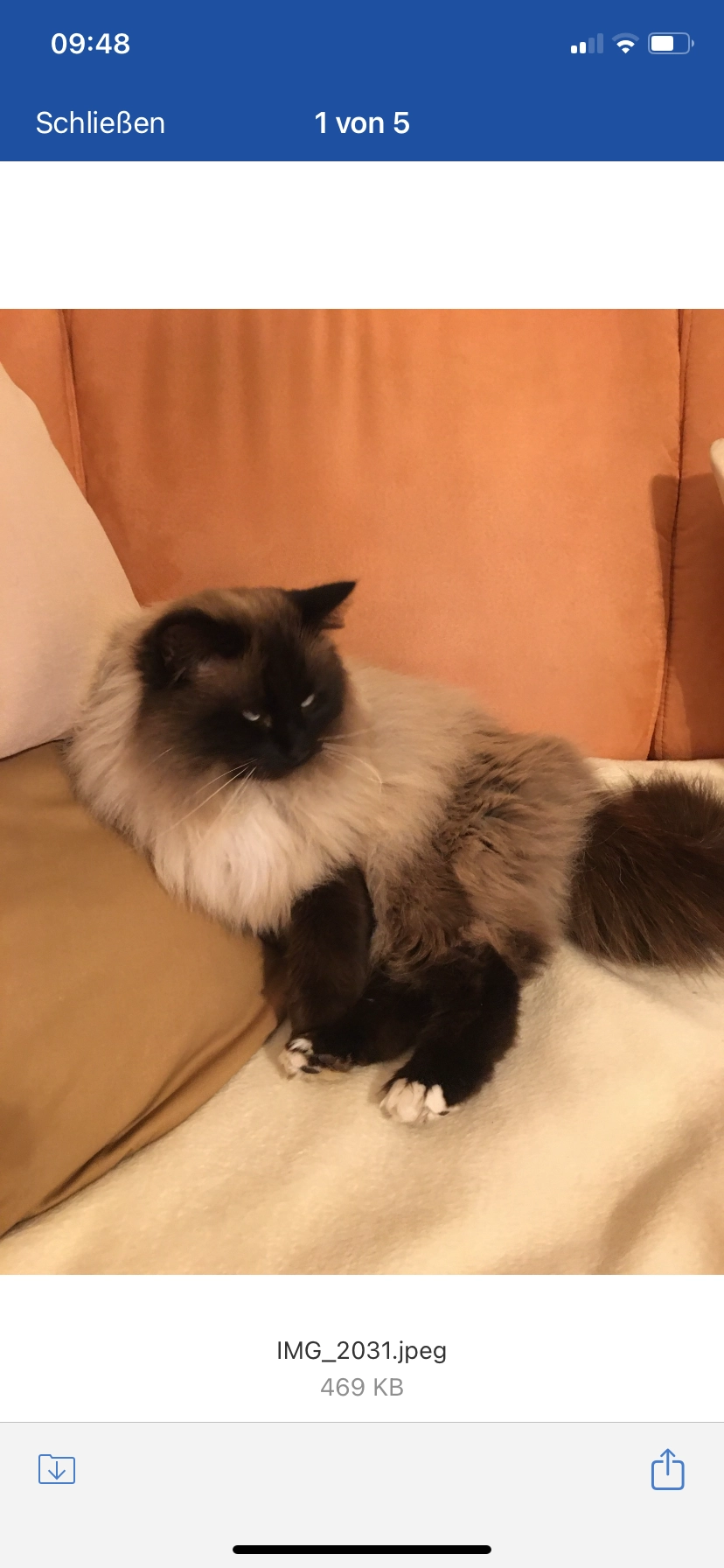 Sam - Lauinger Straße, Gundelfingen an der Donau