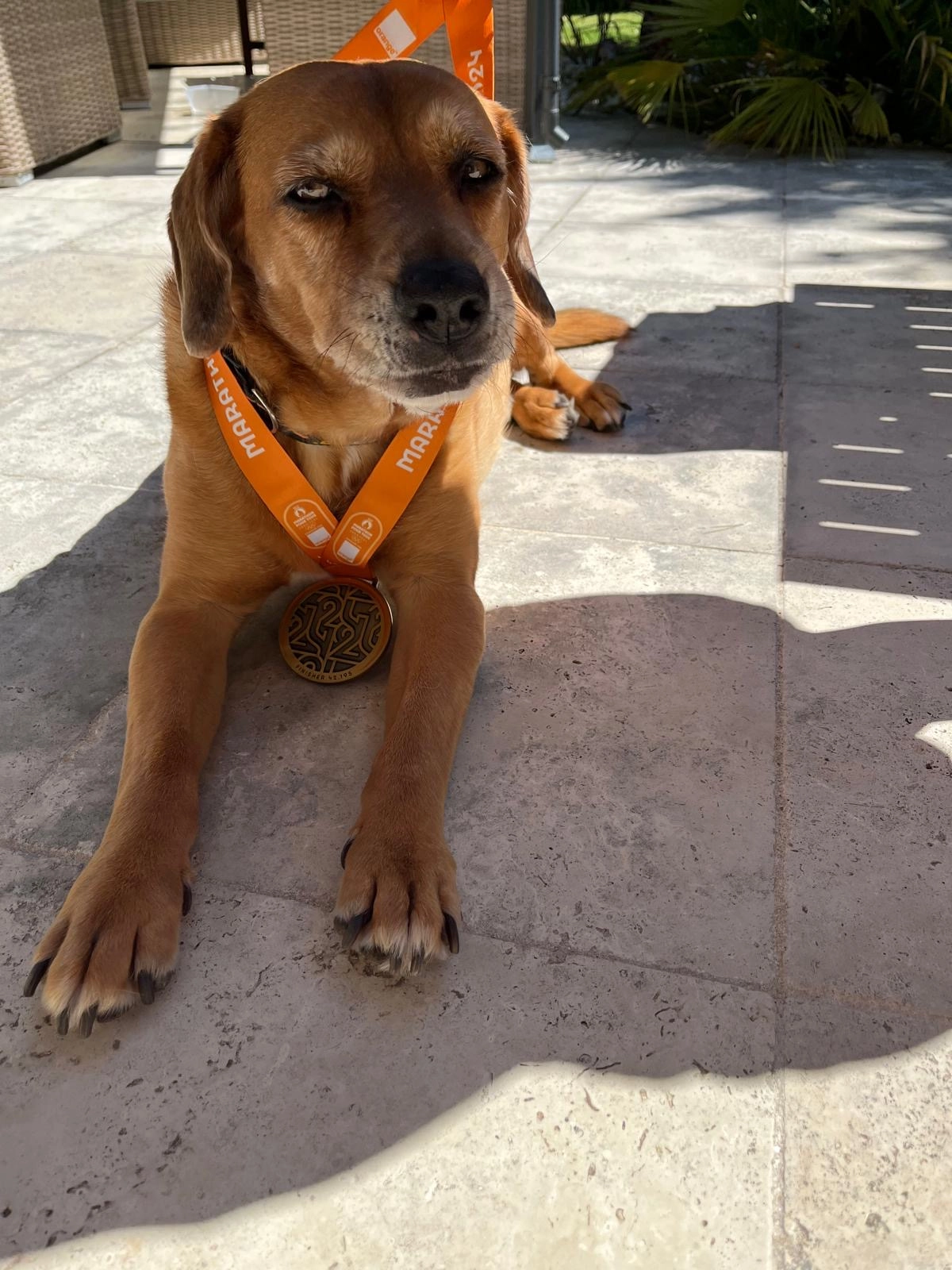 Calva  - Voie Verte Du Pays De Limours, Bonnelles