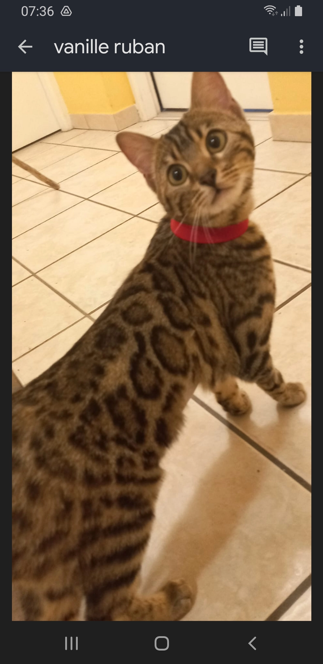 Vanille - Boulevard Robert Barrier, Aix-les-Bains