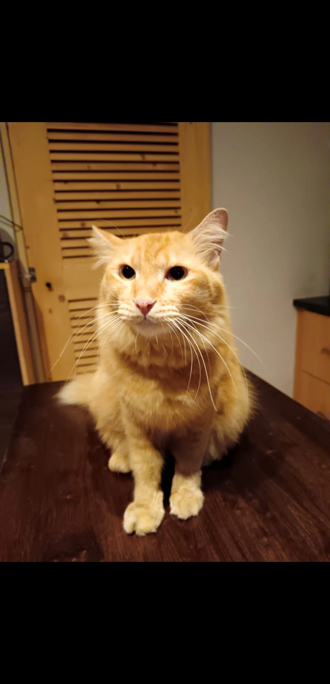 Fufu - Lorong Sejahtera 28, Mukim 15