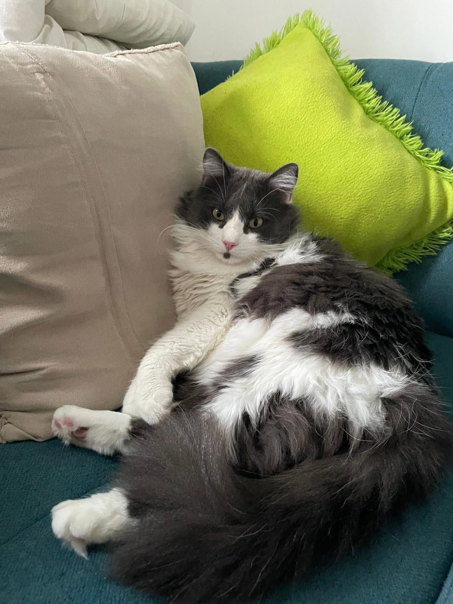 Hati - Avenue De La Libération, La Roche-sur-Foron