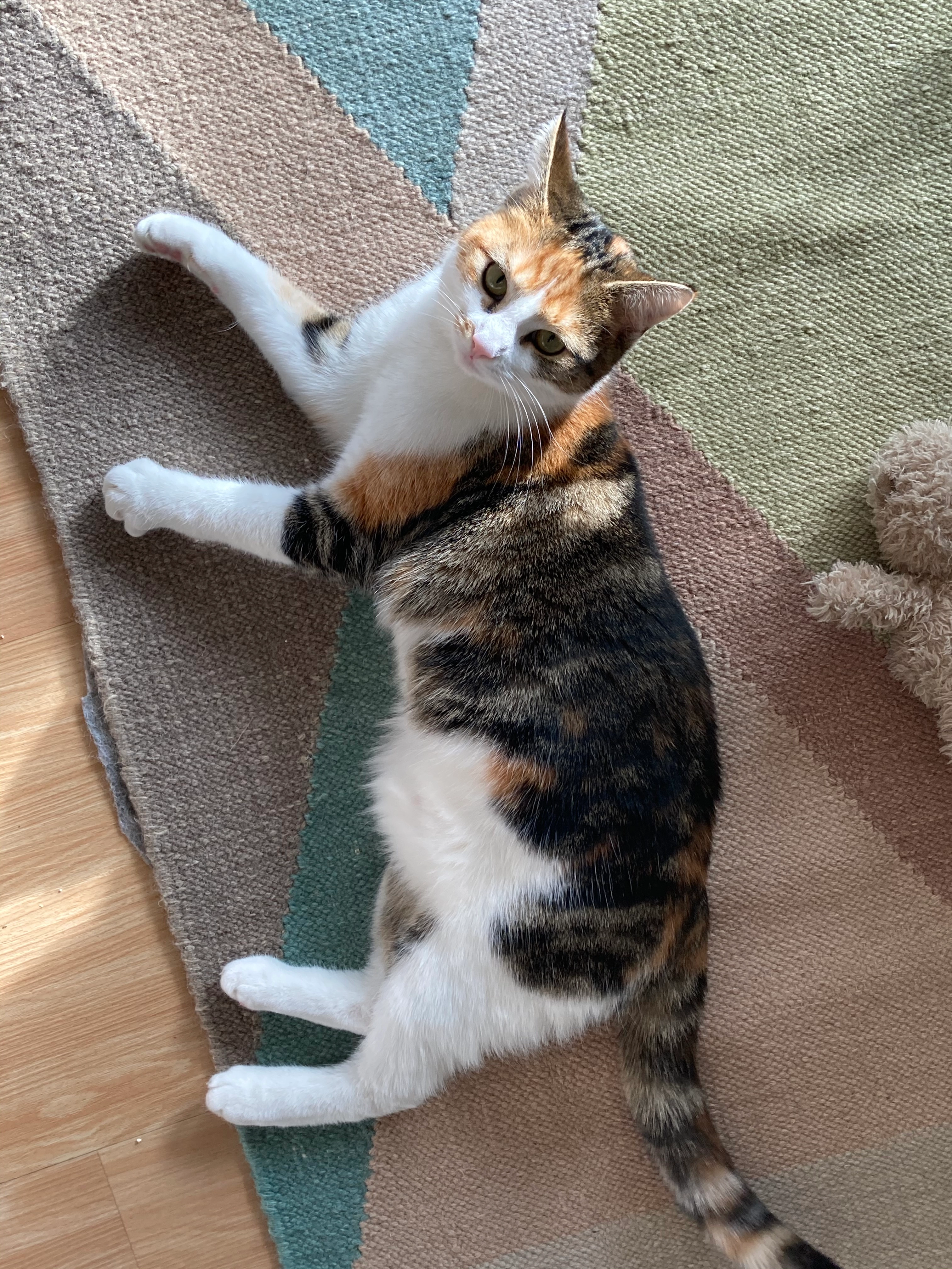 Nalini - Marchwartstrasse, Zürich