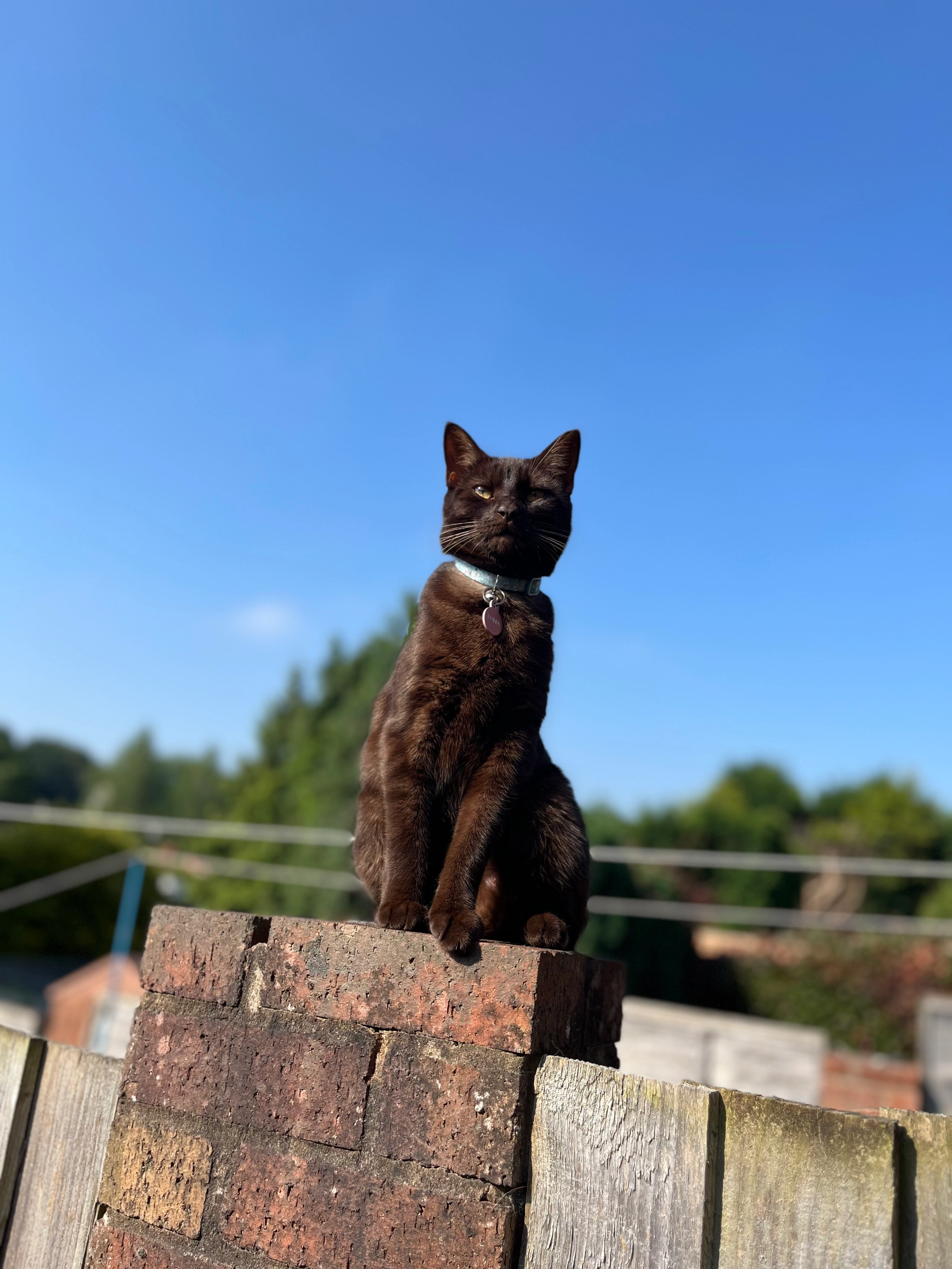 Luna - Pitt Street, Kidderminster