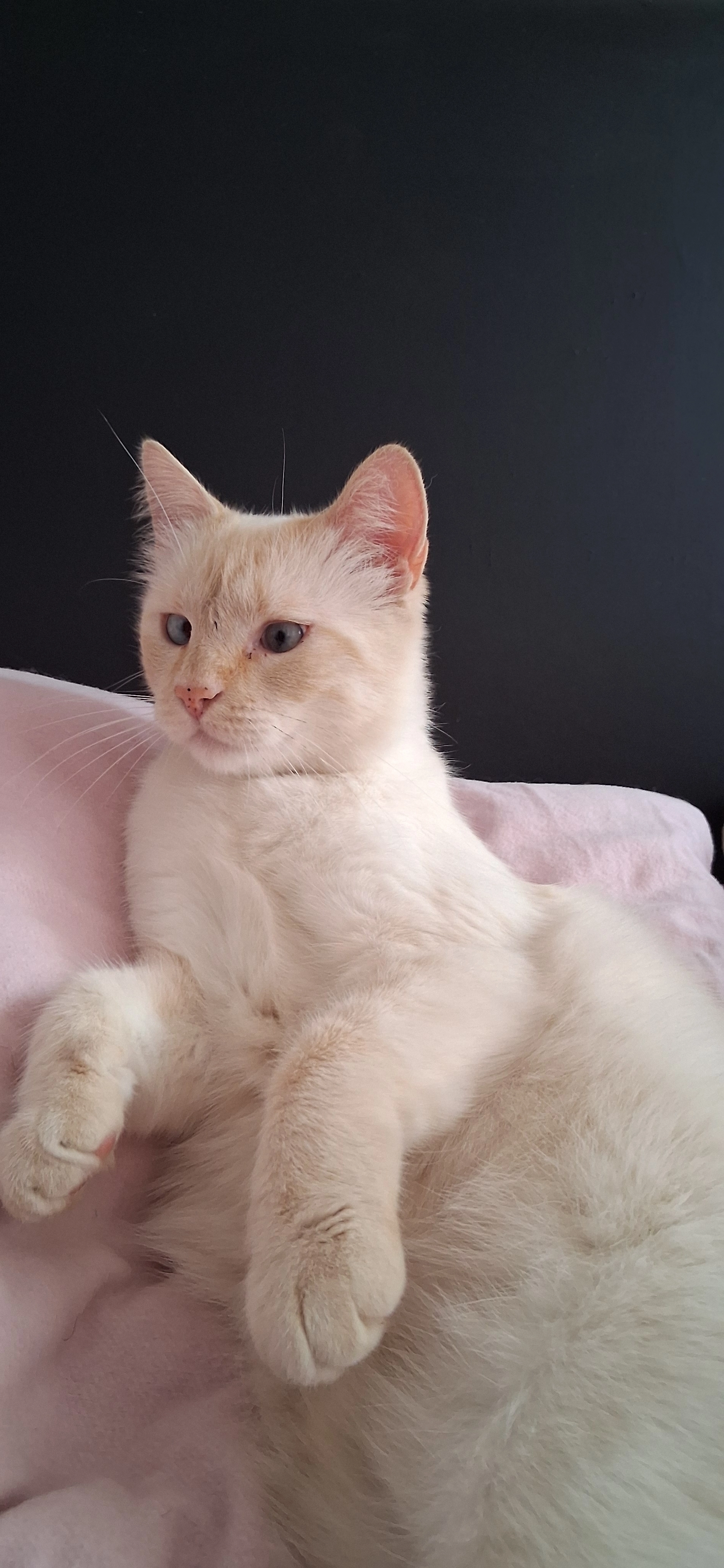 Kissy - Finkenstraße, Filderstadt